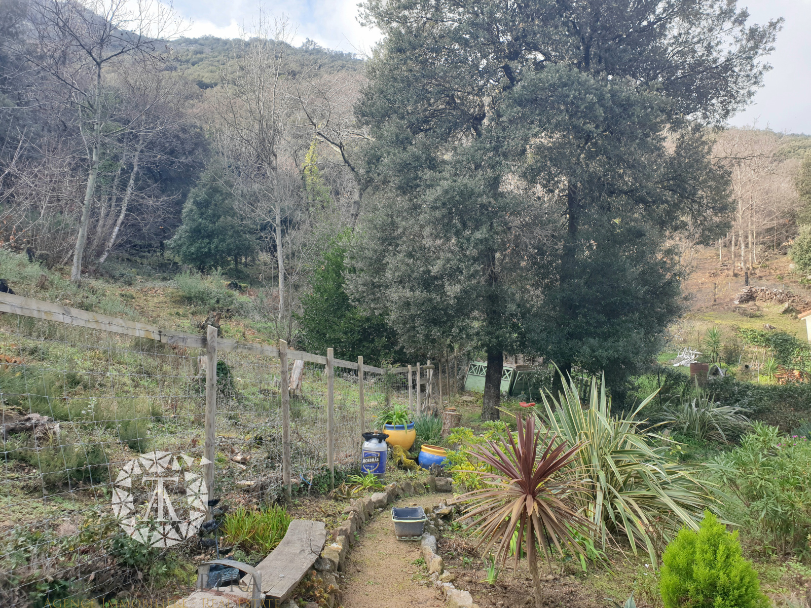 Image_28, Villa, Sorède, ref :D1662