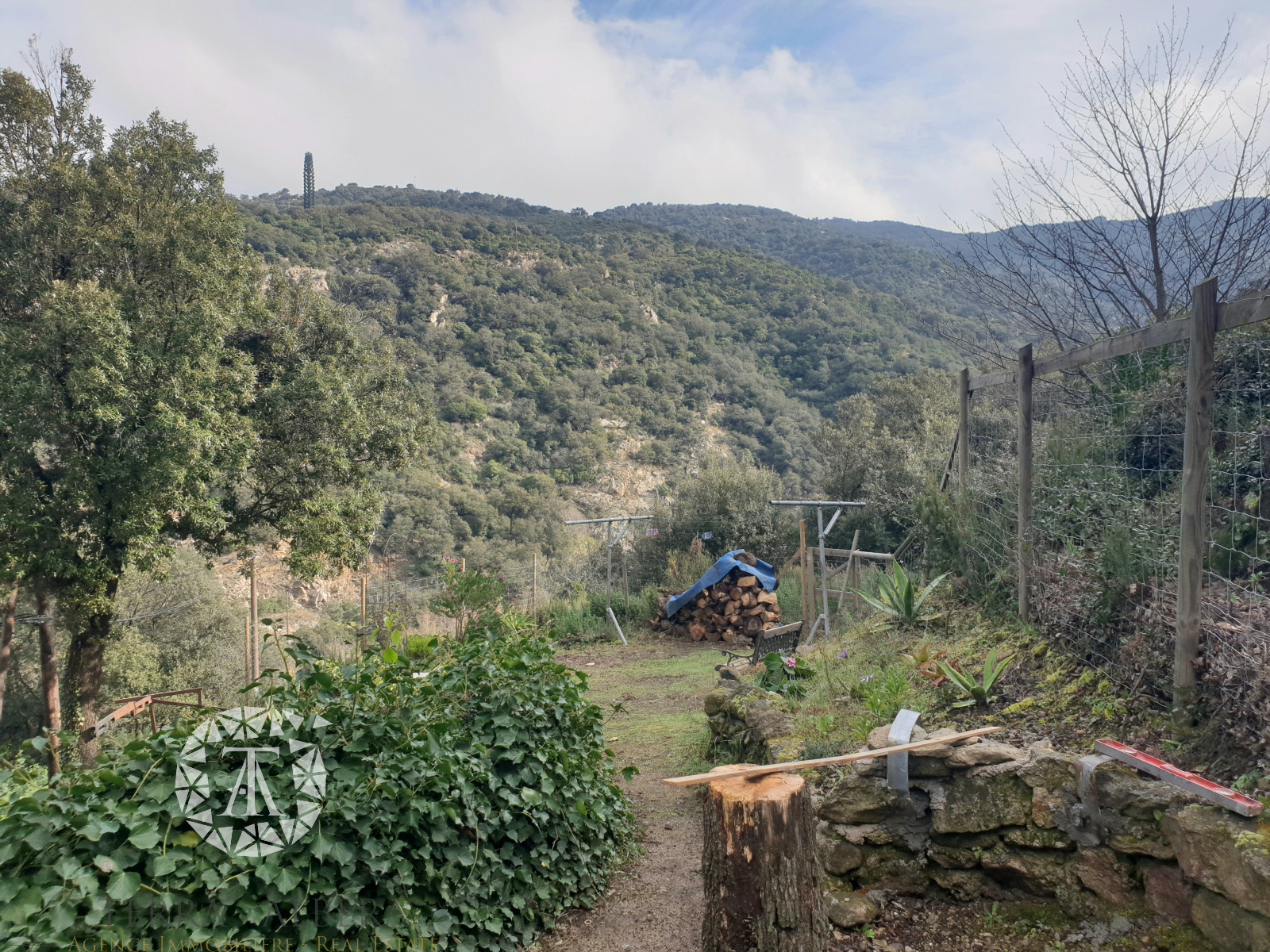 Image_27, Villa, Sorède, ref :D1662