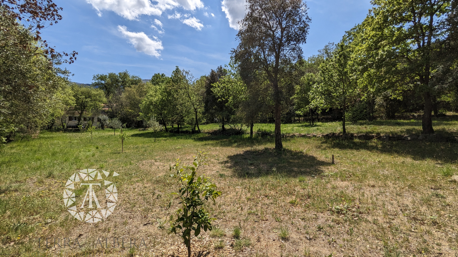 Image_4, Terrain Ă  batir, Villelongue-dels-Monts, ref :CV1744