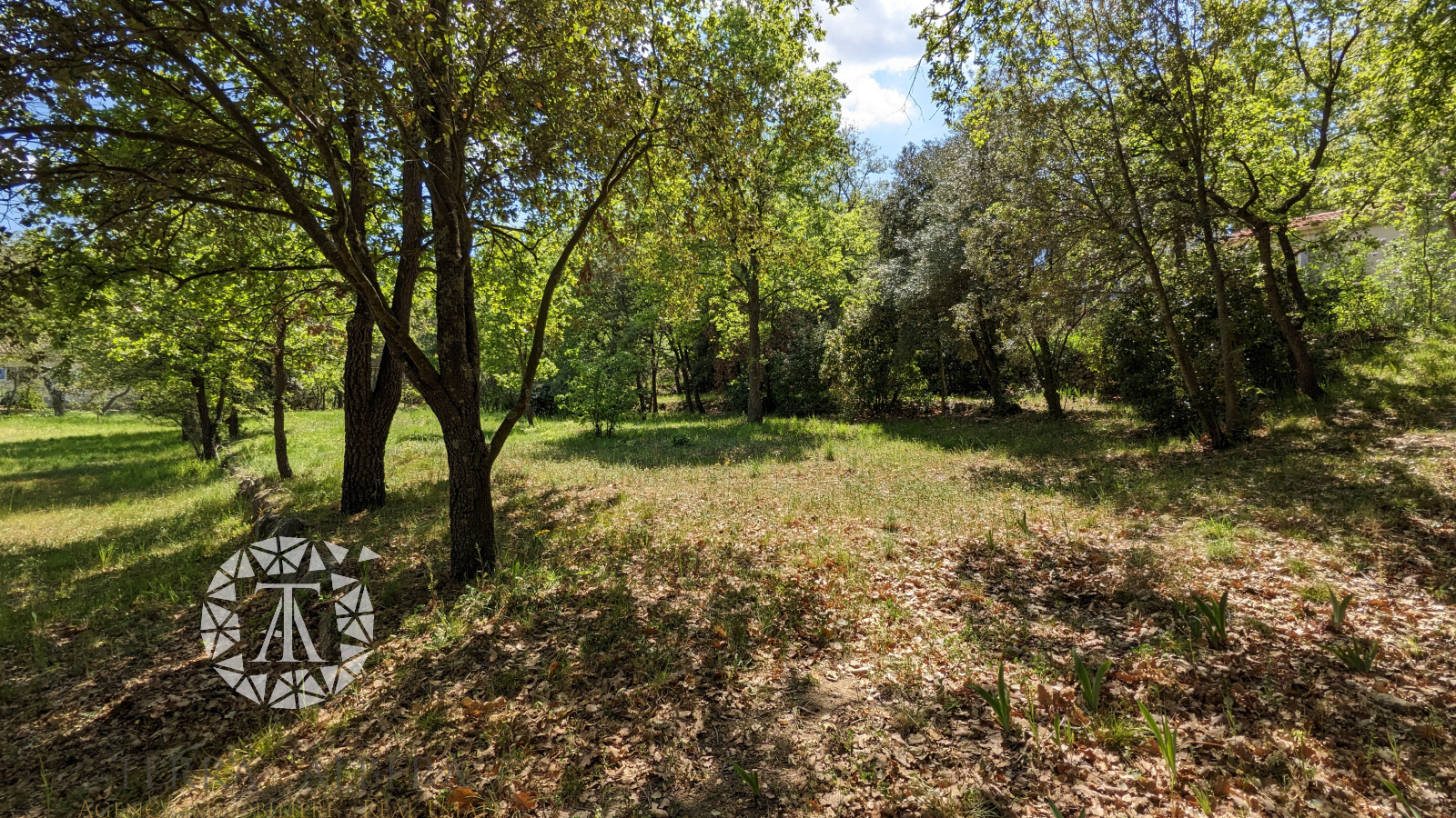 Image_6, Terrain Ă  batir, Villelongue-dels-Monts, ref :CV1744