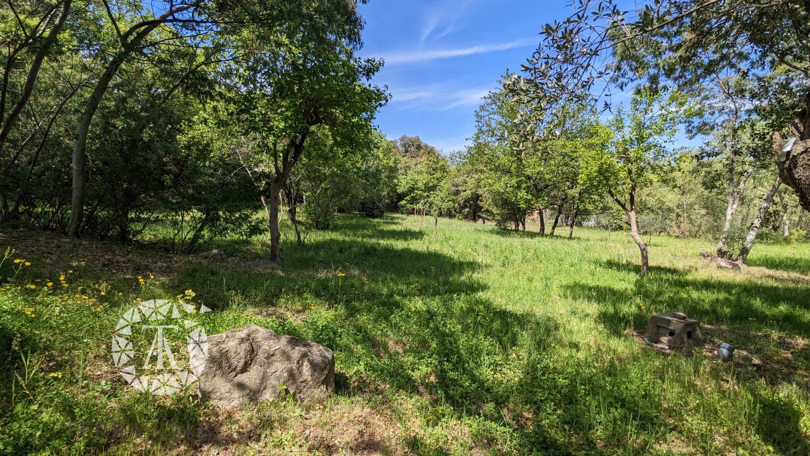 Image_1, Terrain Ă  batir, Villelongue-dels-Monts, ref :CV1744