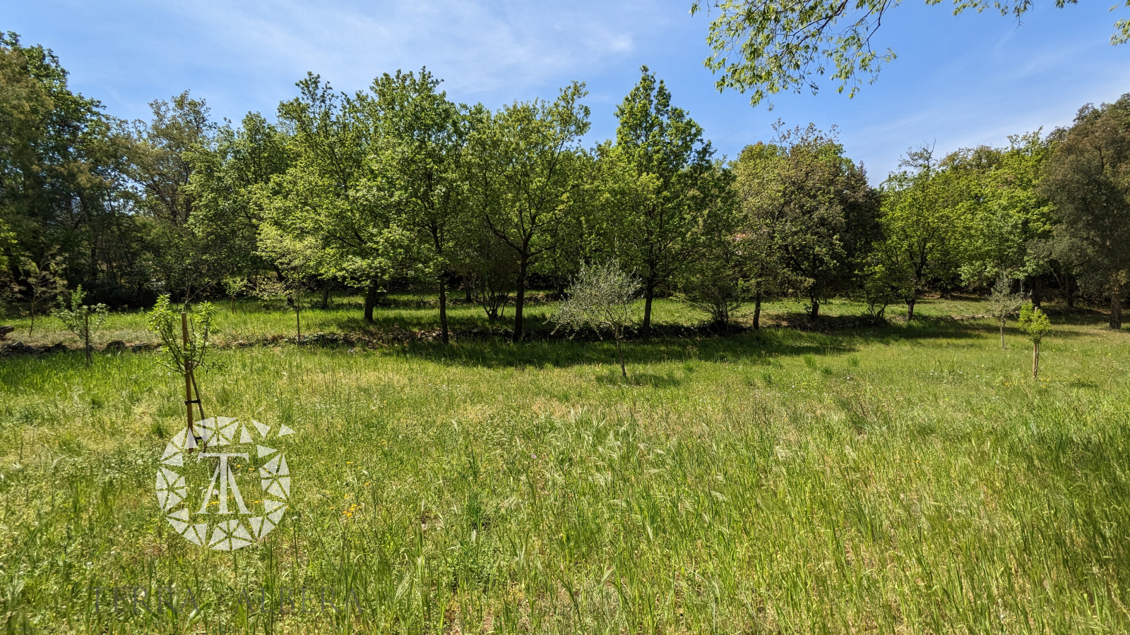 Image_5, Terrain Ă  batir, Villelongue-dels-Monts, ref :CV1744