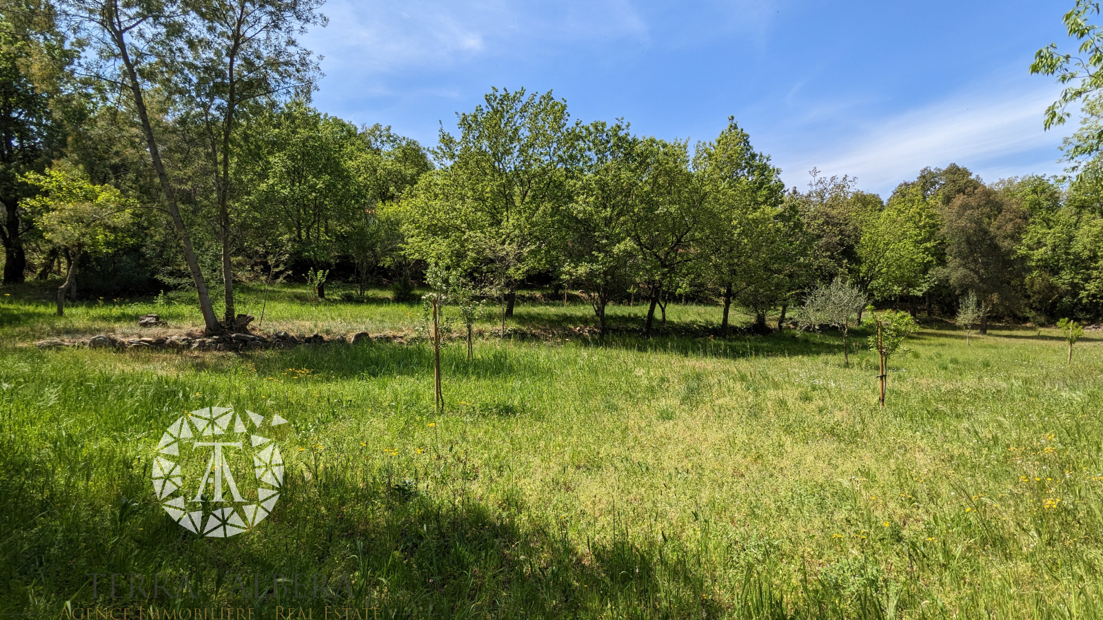 Image_7, Terrain Ă  batir, Villelongue-dels-Monts, ref :CV1744