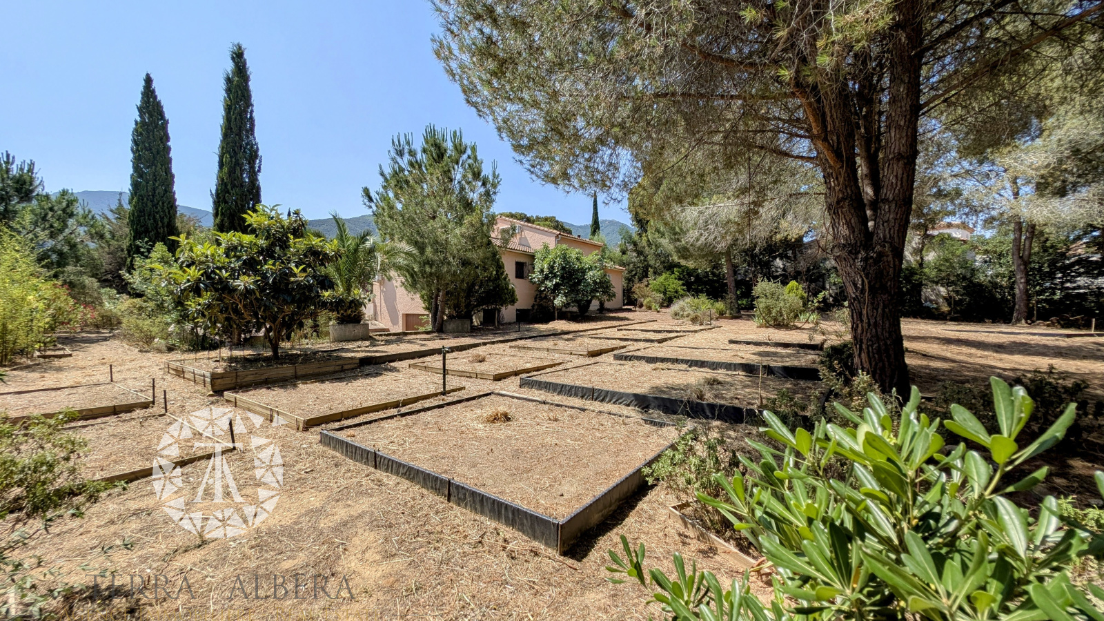 Image_15, Villa, Villelongue-dels-Monts, ref :C1654