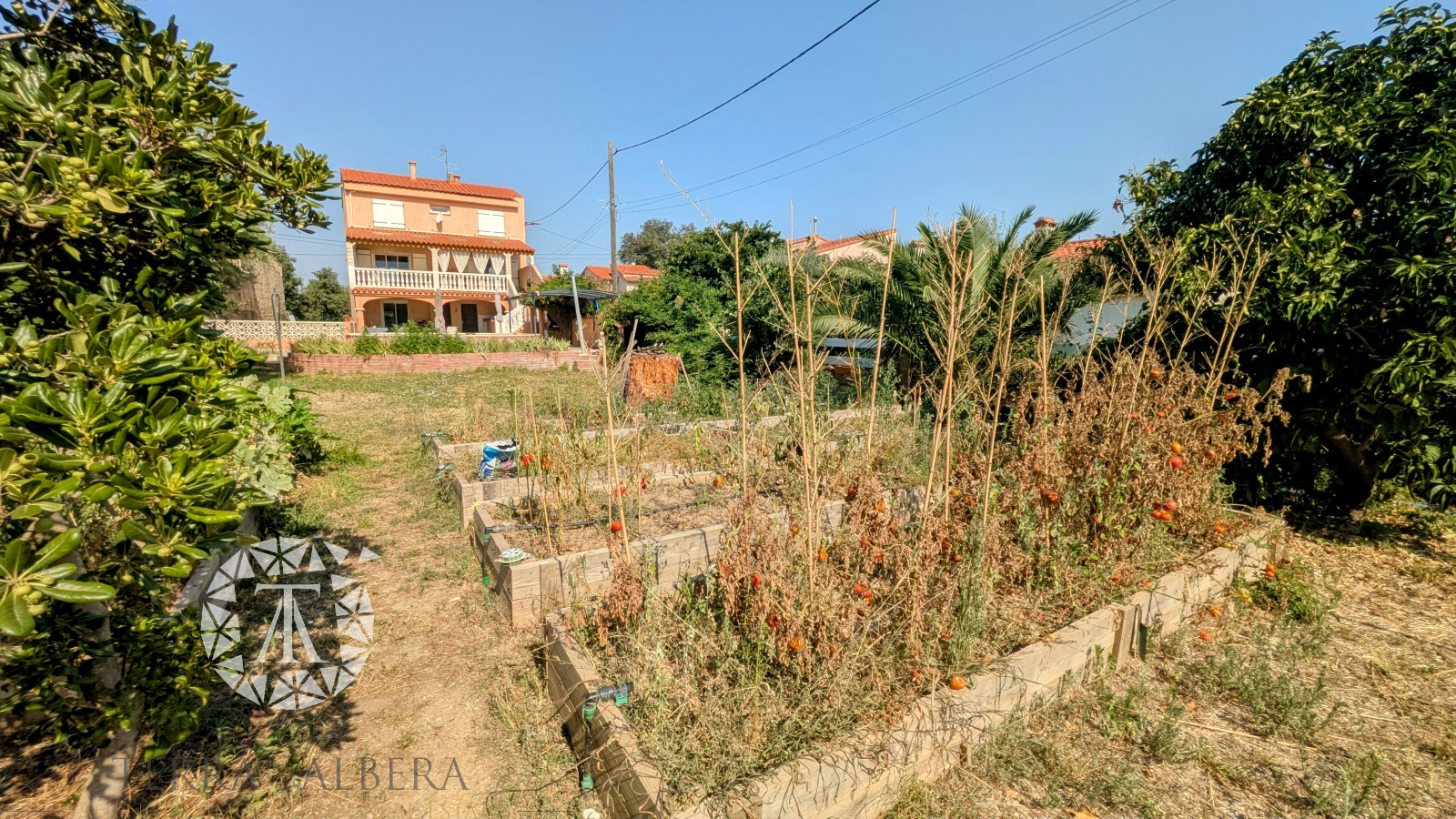 Image_26, Villa, Sorède, ref :D1858