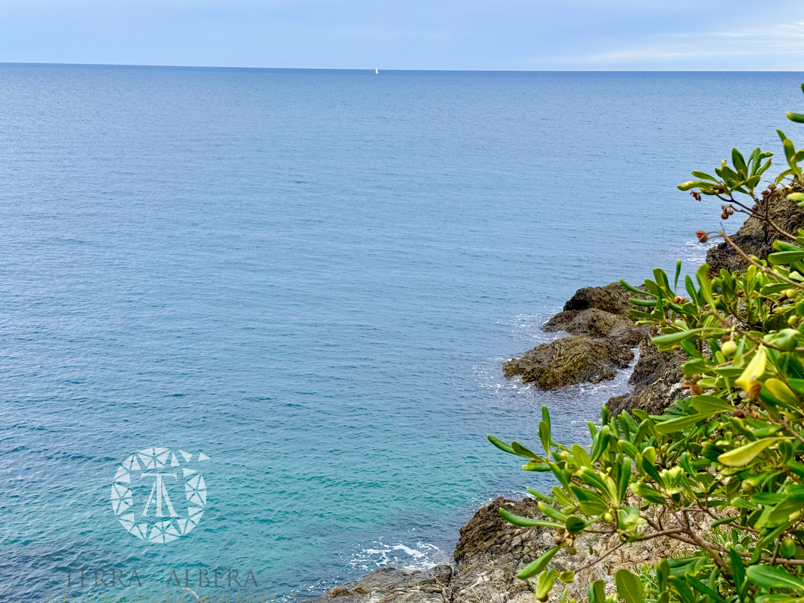 Image_14, Maison, Banyuls-sur-Mer, ref :EL3991