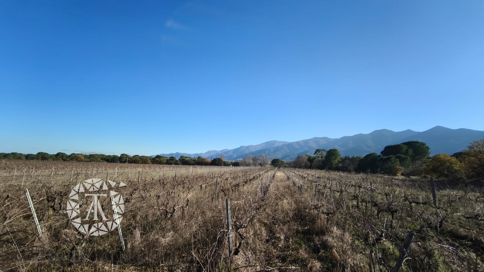 Image_3, Terrain agricole, Montesquieu-des-Albères, ref :A1954