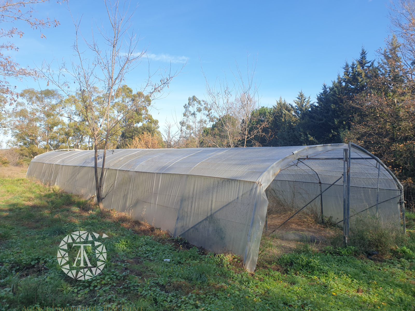 Image_12, Villa, Le Boulou, ref :D1621