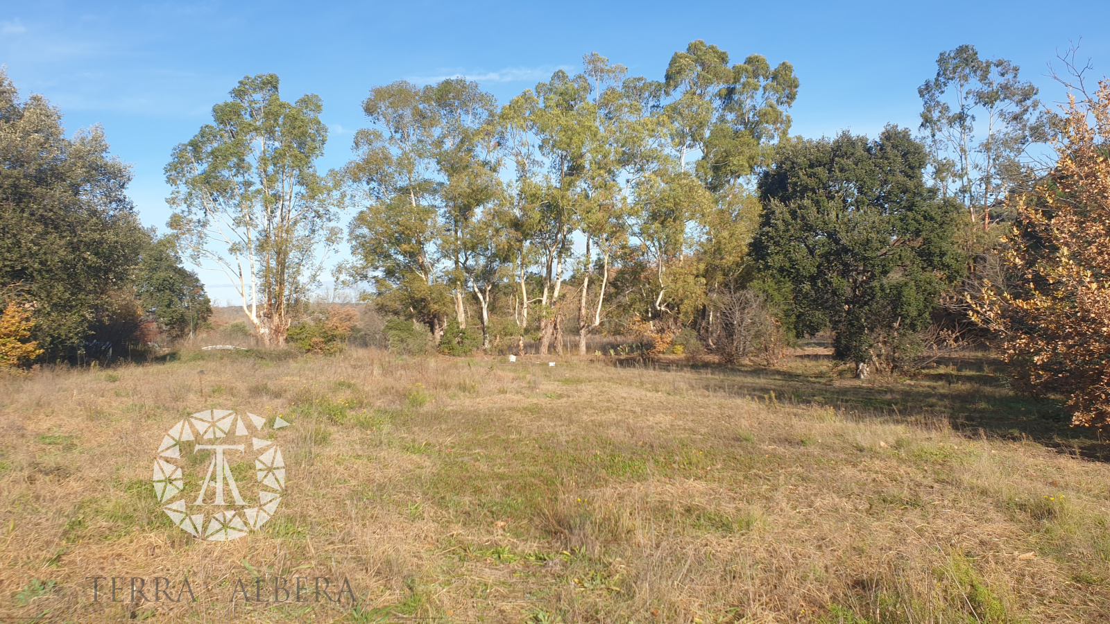 Image_7, Villa, Le Boulou, ref :D1621