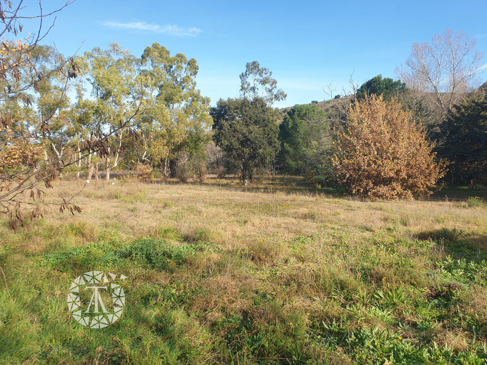 Image_29, Villa, Le Boulou, ref :D1621