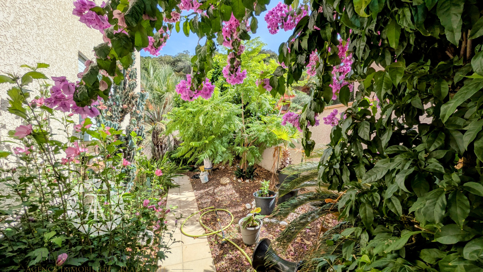 Image_18, Villa, Sorède, ref :D1854