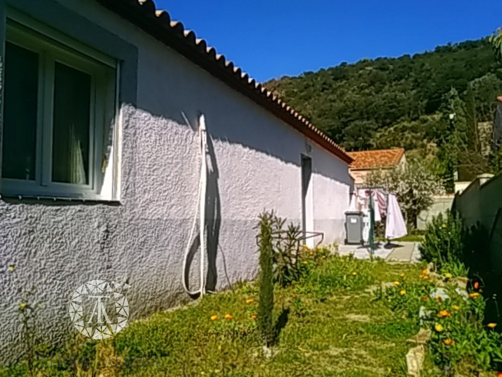 Image_23, Villa, Sorède, ref :L473