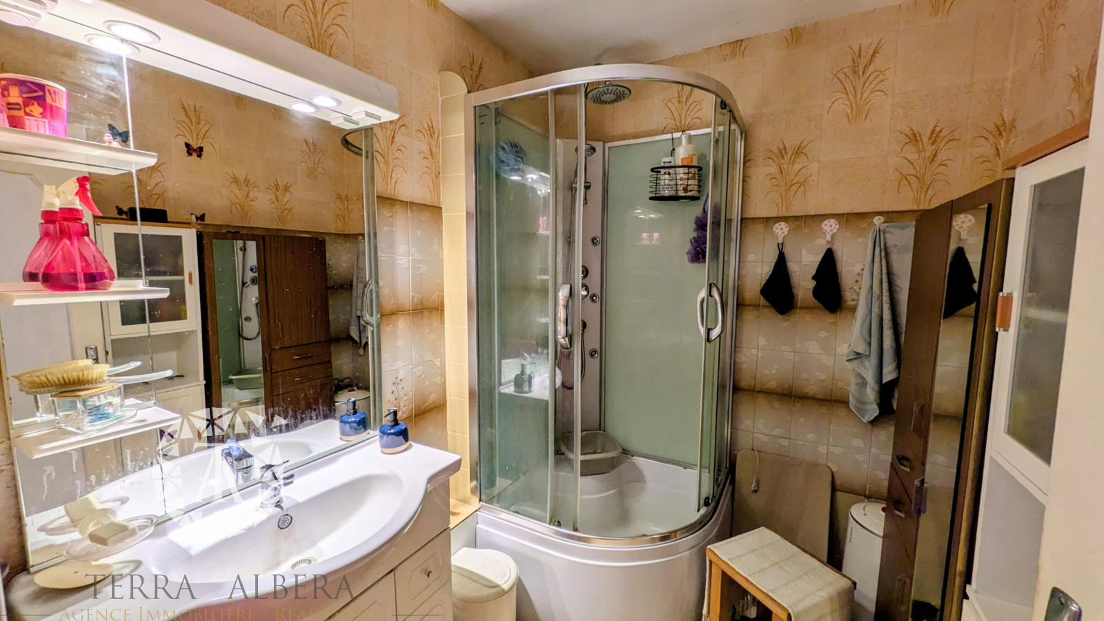 Image_11, Viager, Laroque-des-Albères, ref :D1999