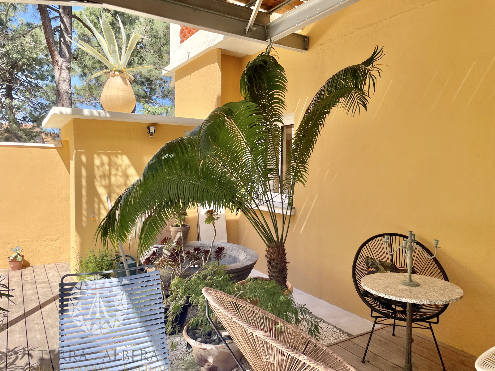 Image_21, Villa, Argelès-sur-Mer, ref :ELVA1486