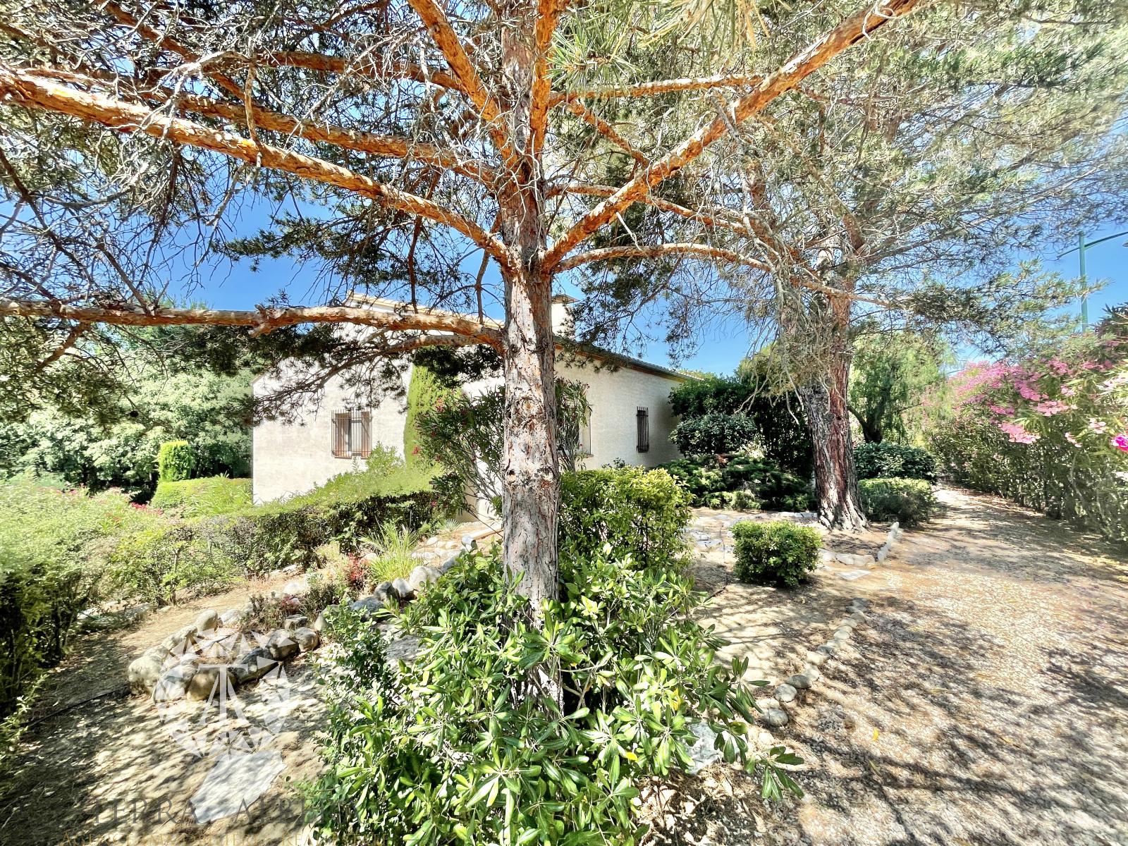 Image_22, Villa, Montesquieu-des-Albères, ref :E1068