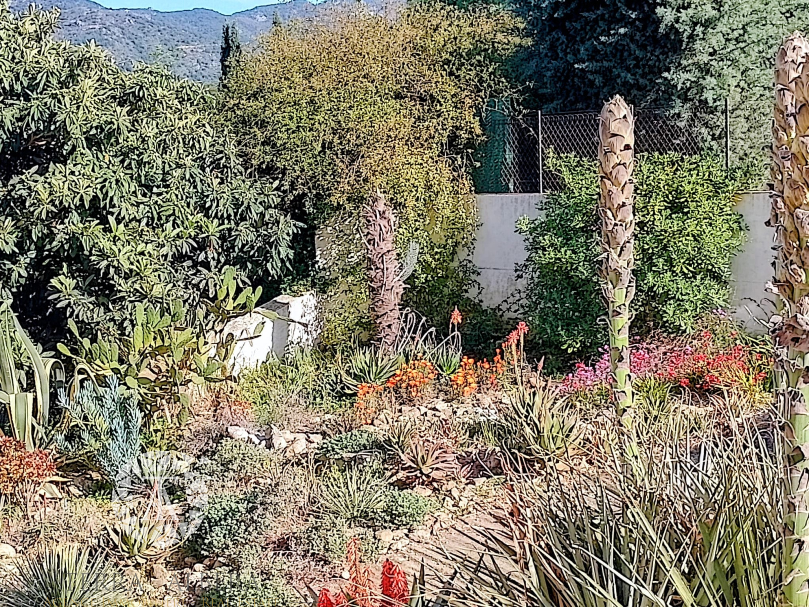 Image_19, Villa, Laroque-des-Albères, ref :EC1887