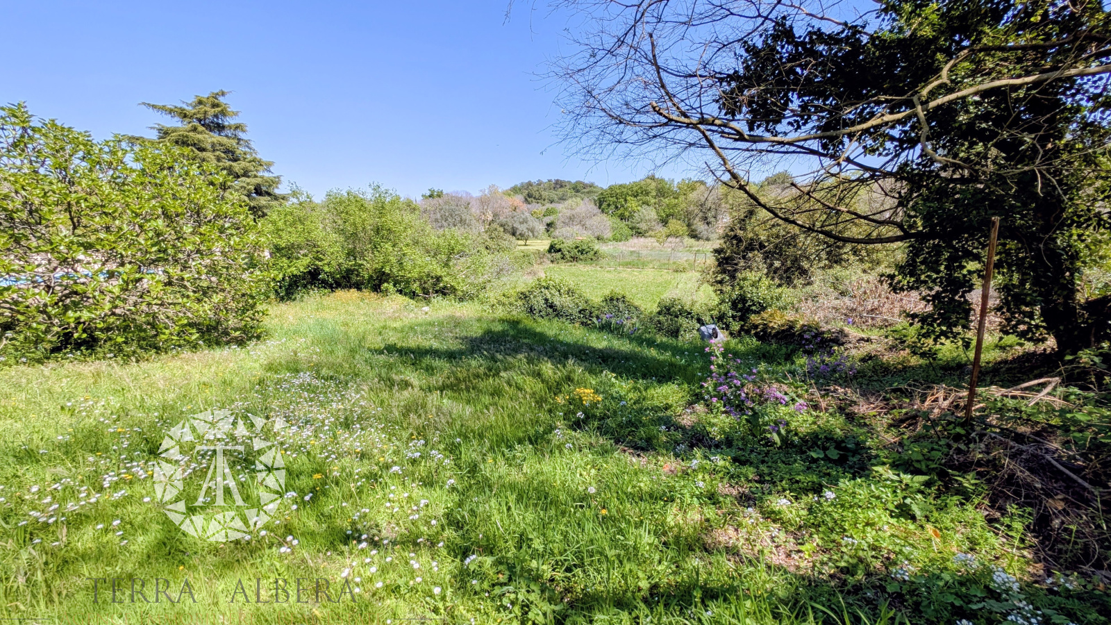 Image_15, Maison, Laroque-des-Albères, ref :EC1887