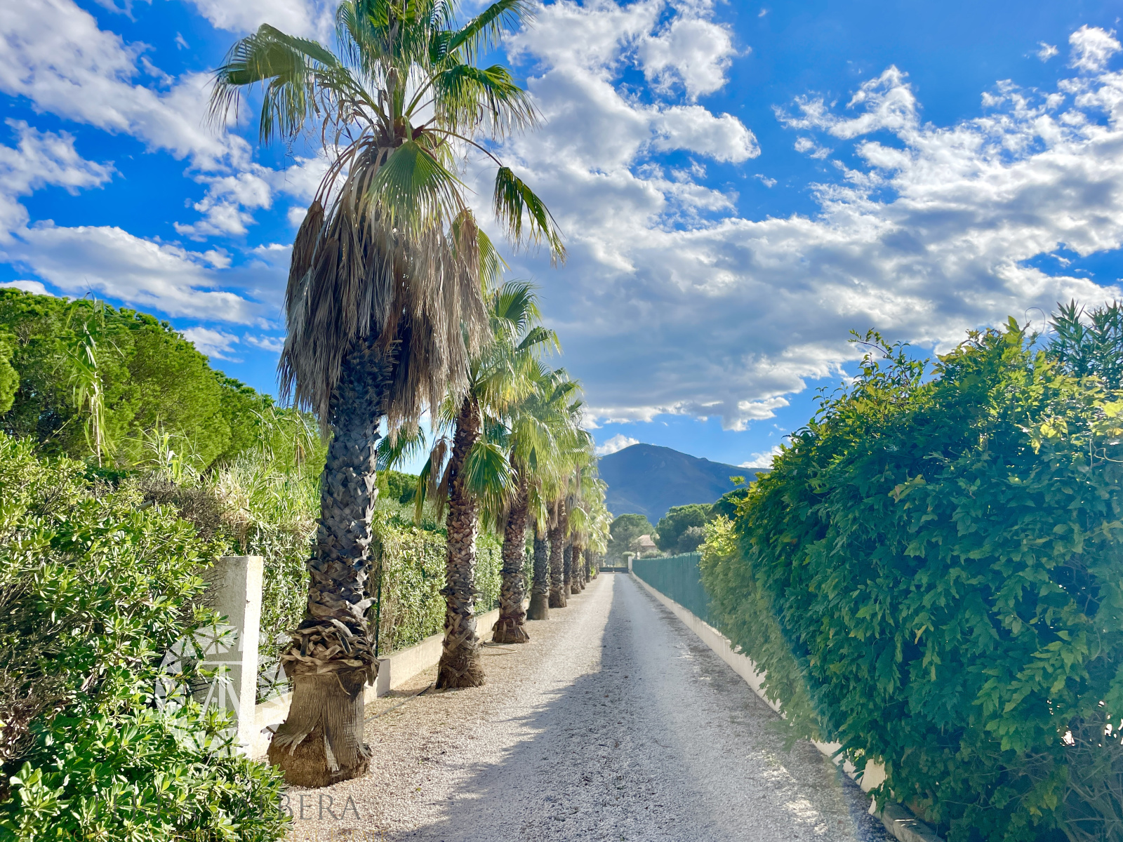 Image_6, Villa, Saint-André, ref :ELML1547