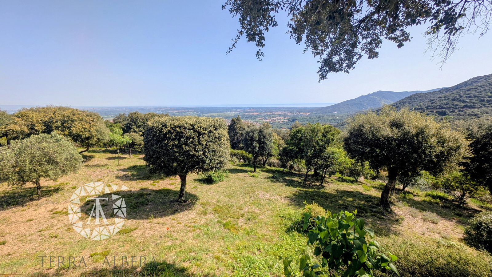 Image_12, Maison, Laroque-des-Albères, ref :V2092