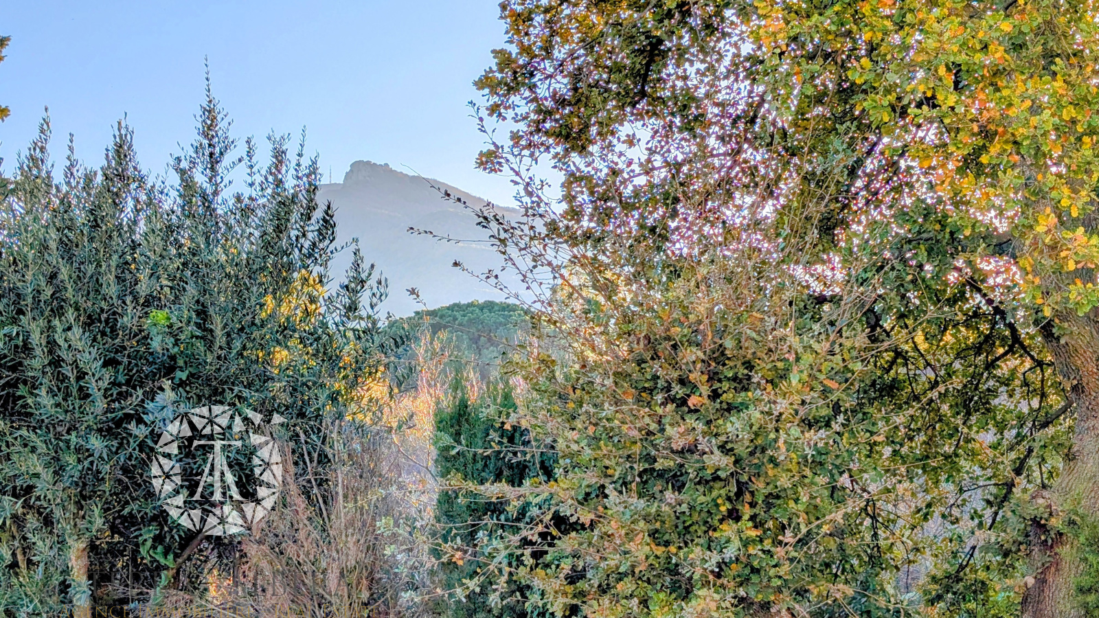 Image_16, Villa, Sorède, ref :DV1575