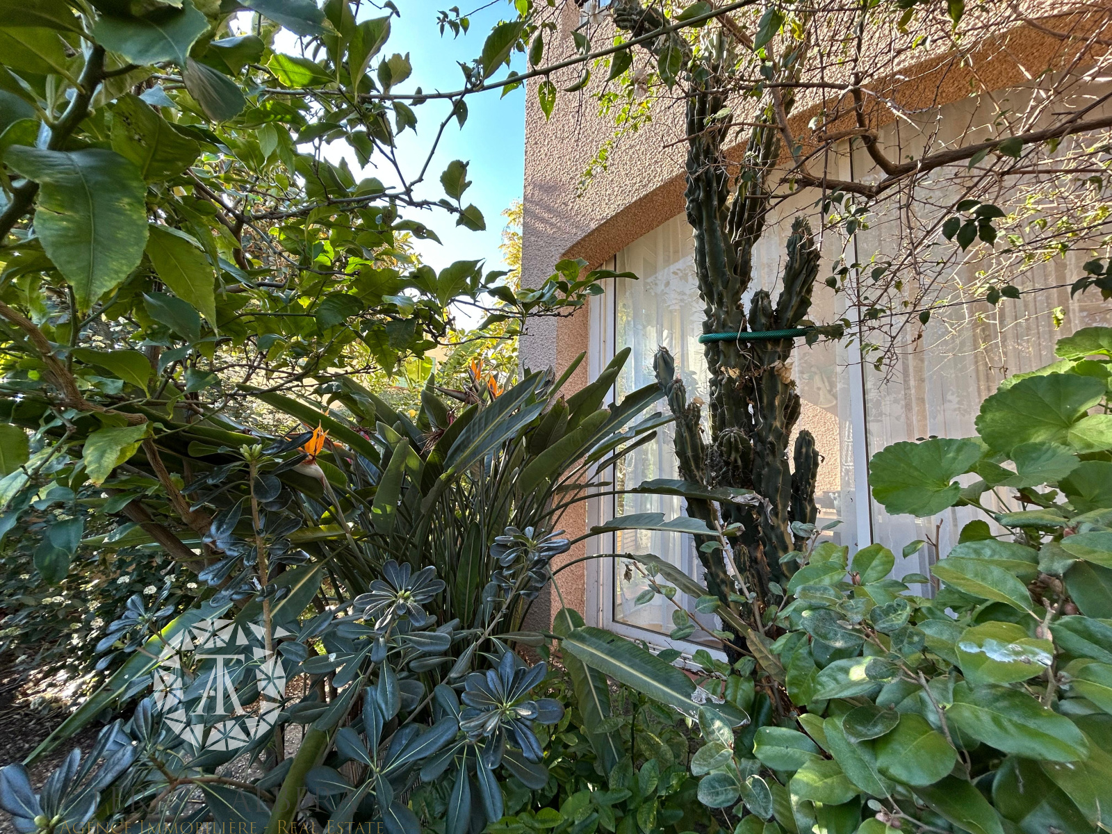 Image_35, Viager, Perpignan, ref :A2022