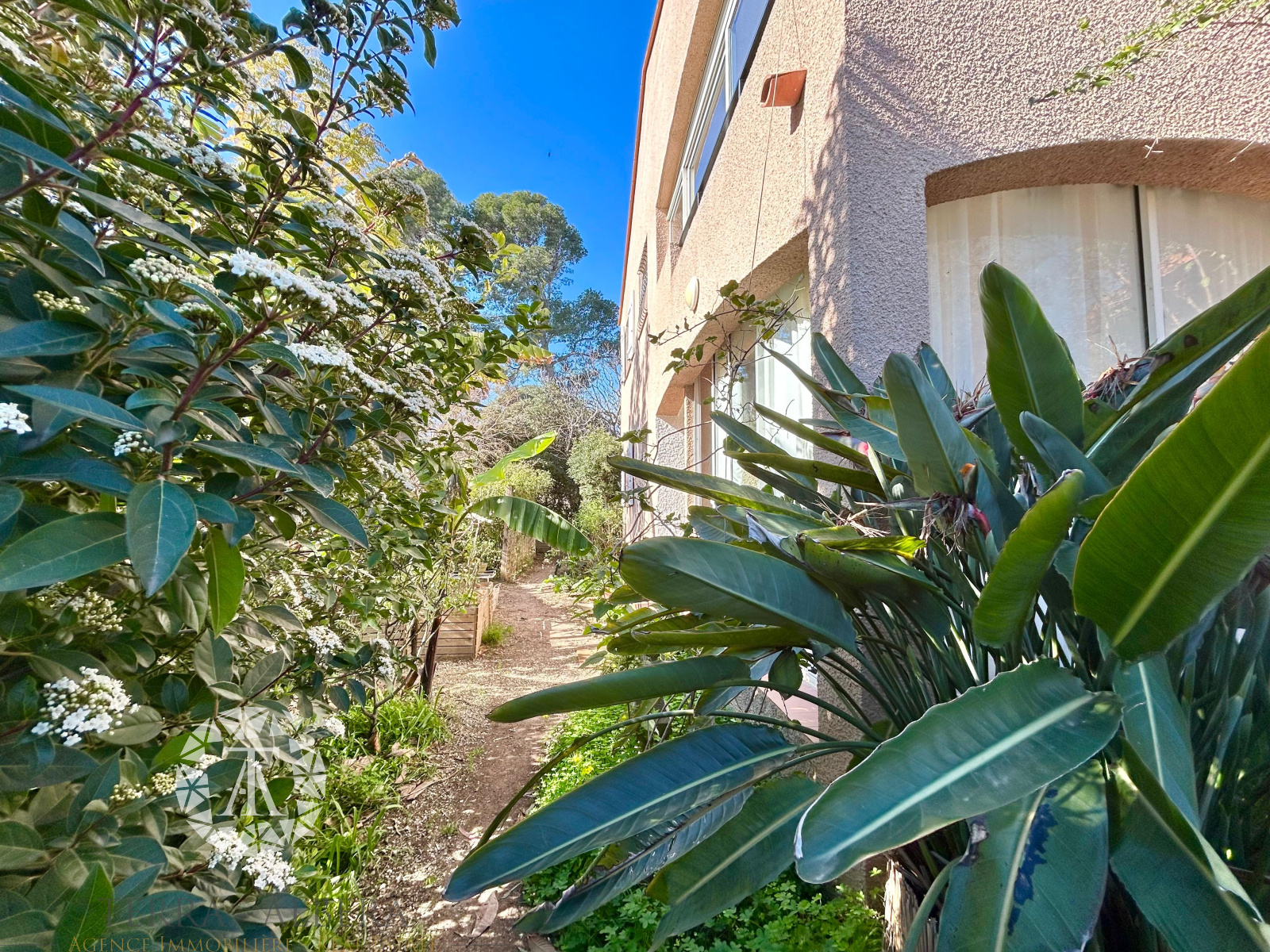 Image_36, Viager, Perpignan, ref :A2022