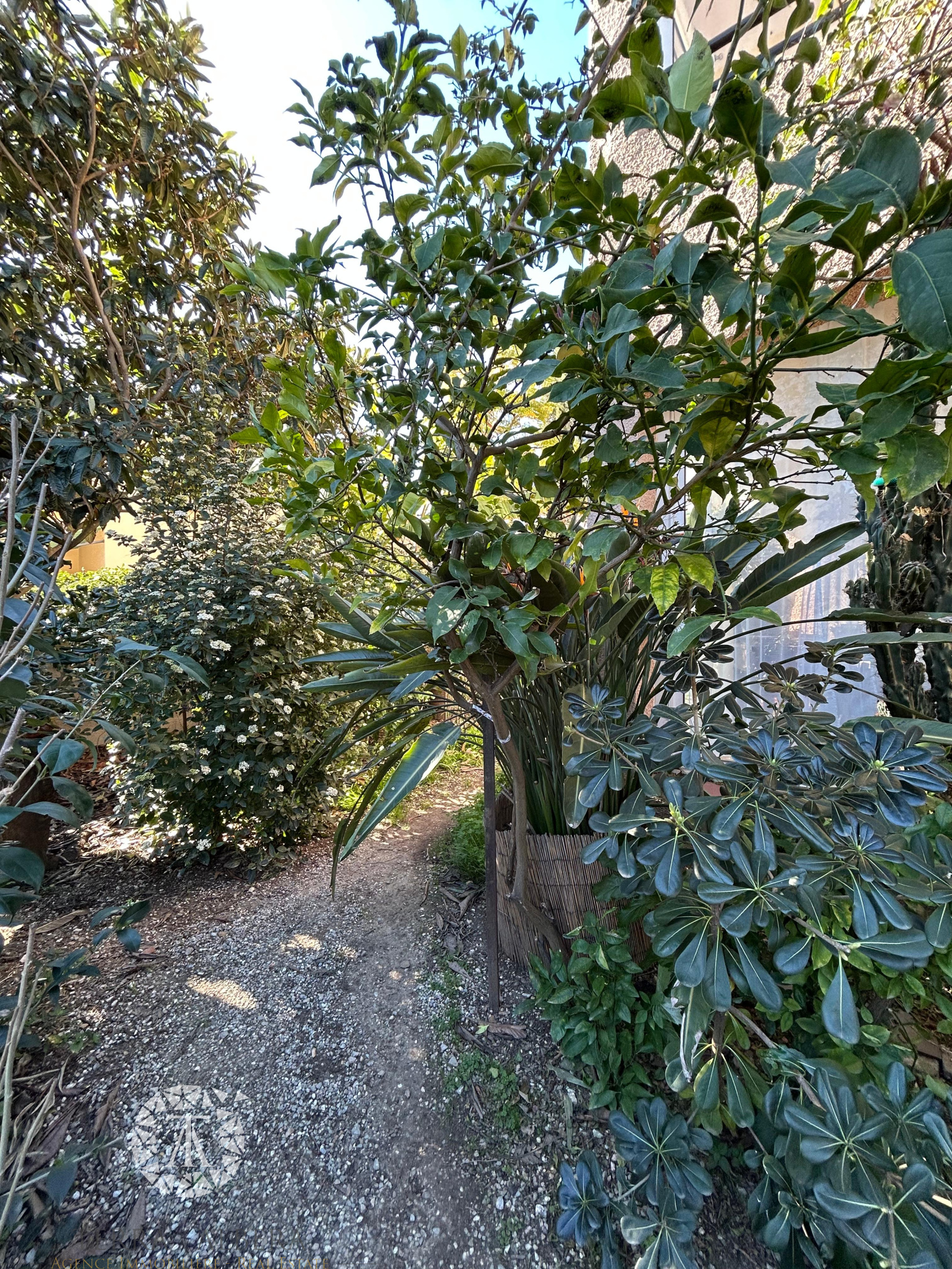 Image_34, Viager, Perpignan, ref :A2022