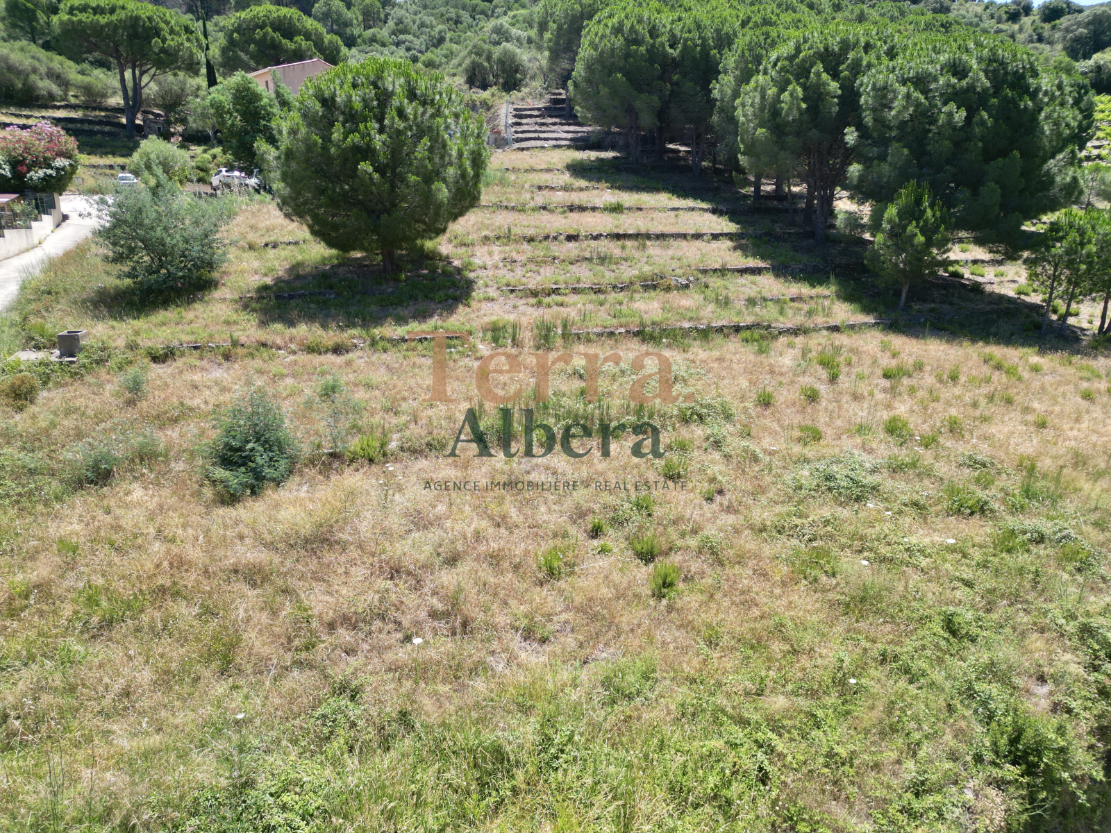 Image_7, Terrain, Collioure, ref :V-AR2042