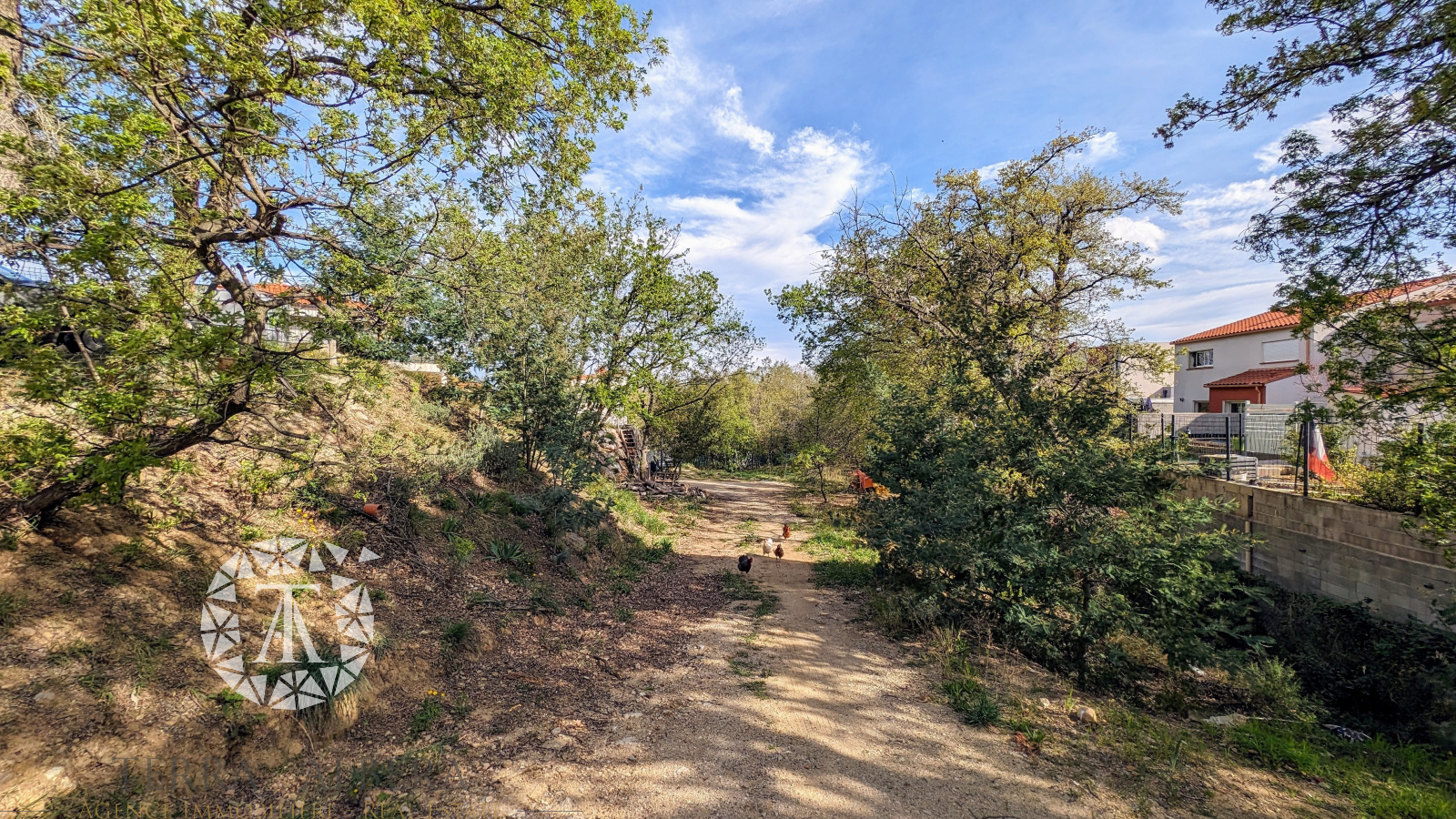 Image_16, Villa, Villelongue-dels-Monts, ref :C1700