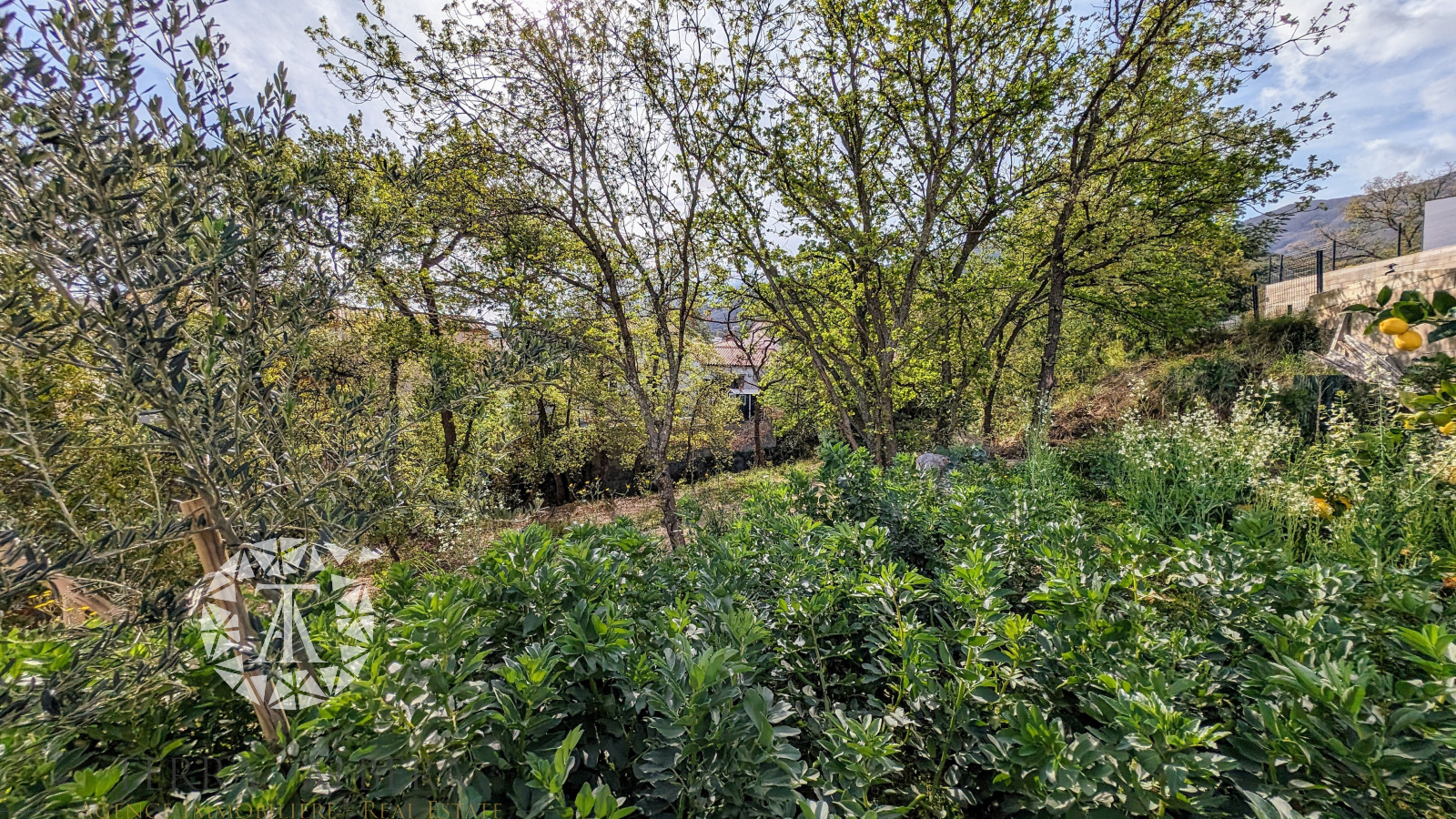 Image_22, Villa, Villelongue-dels-Monts, ref :C1700