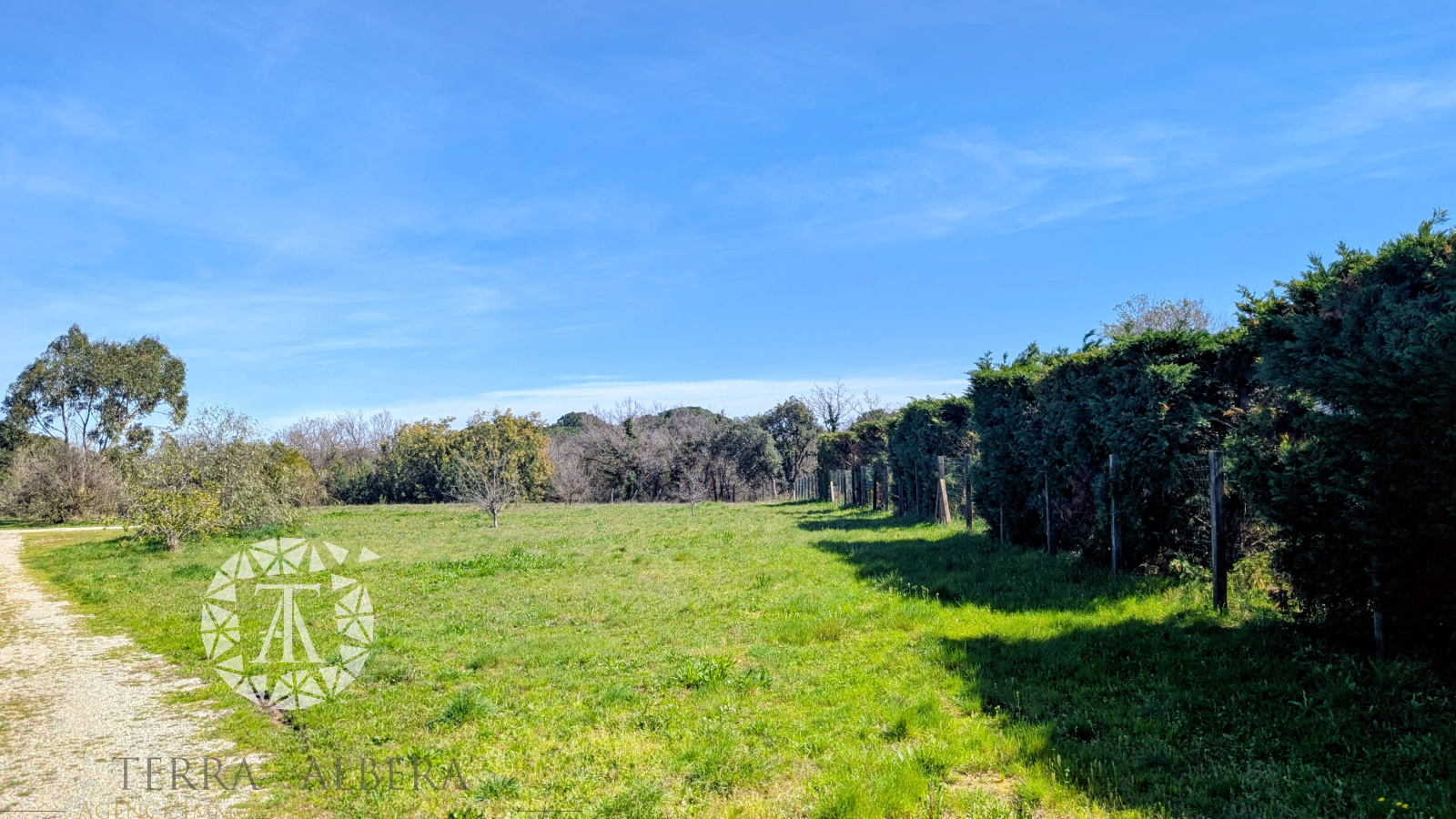 Image_1, Terrain, Laroque-des-Albères, ref :V2050