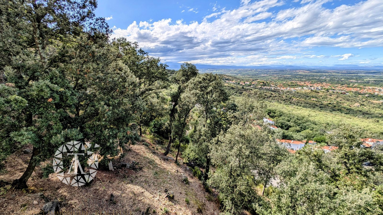 Image_15, Villa, Laroque-des-Albères, ref :C1867