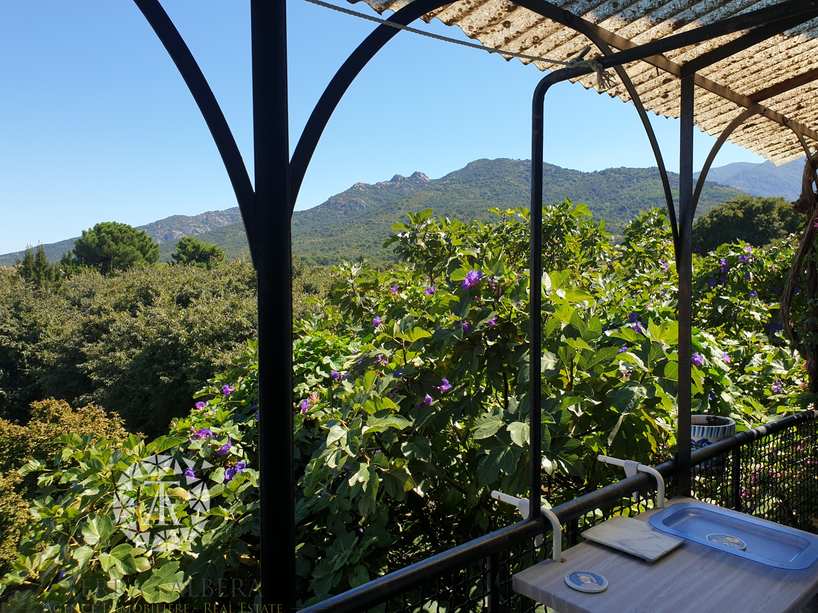 Image_2, Duplex, Sorède, ref :D1935