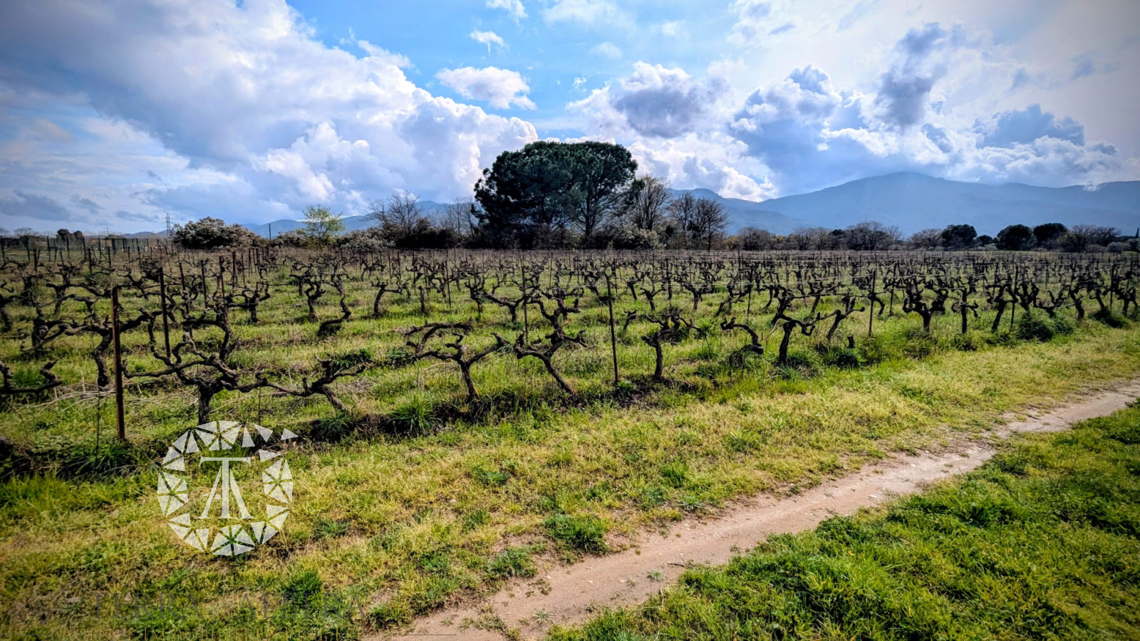 Image_3, Terrain agricole, Palau-del-Vidre, ref :2040