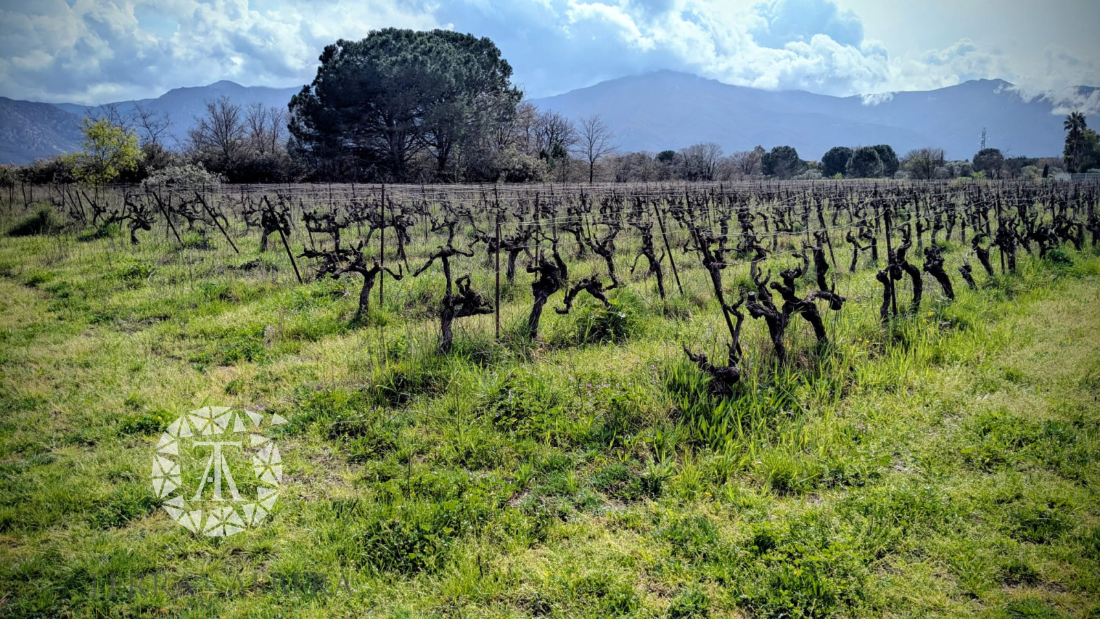 Image_2, Terrain agricole, Palau-del-Vidre, ref :2040