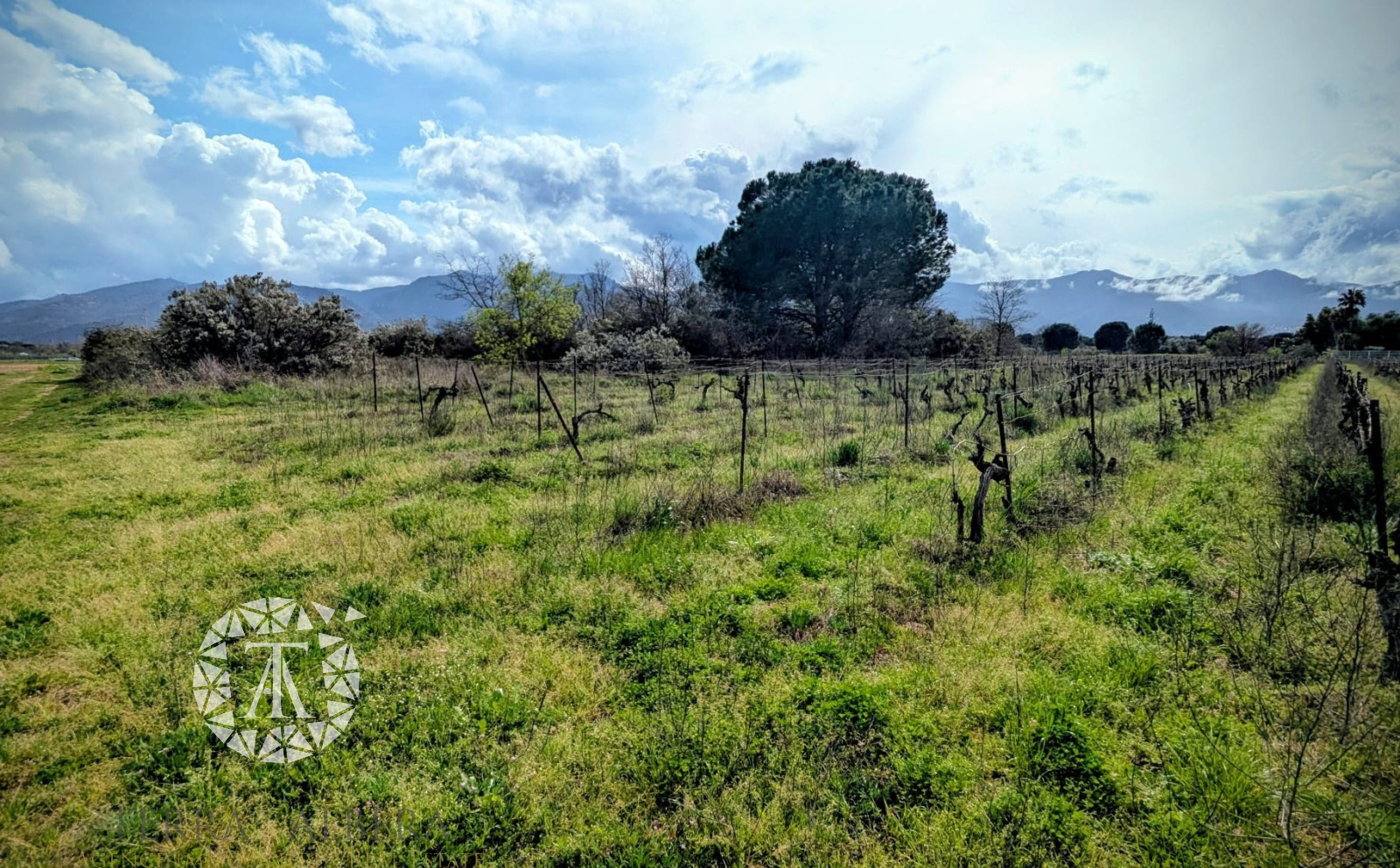 Image_1, Terrain agricole, Palau-del-Vidre, ref :2040