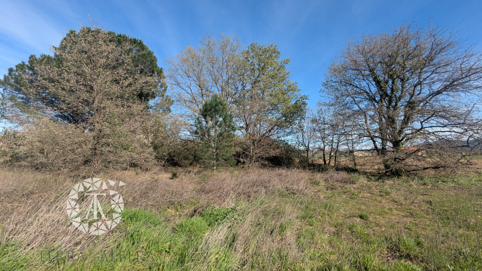 Image_1, Terrain agricole, Palau-del-Vidre, ref :2040