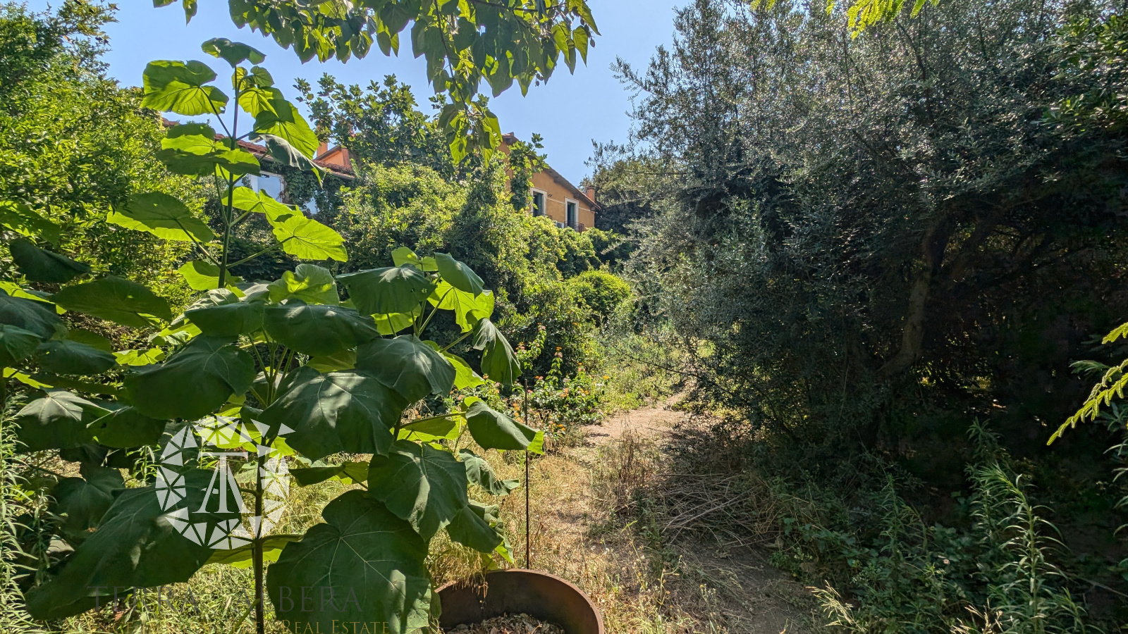 Image_12, Villa, Banyuls-sur-Mer, ref :A1534