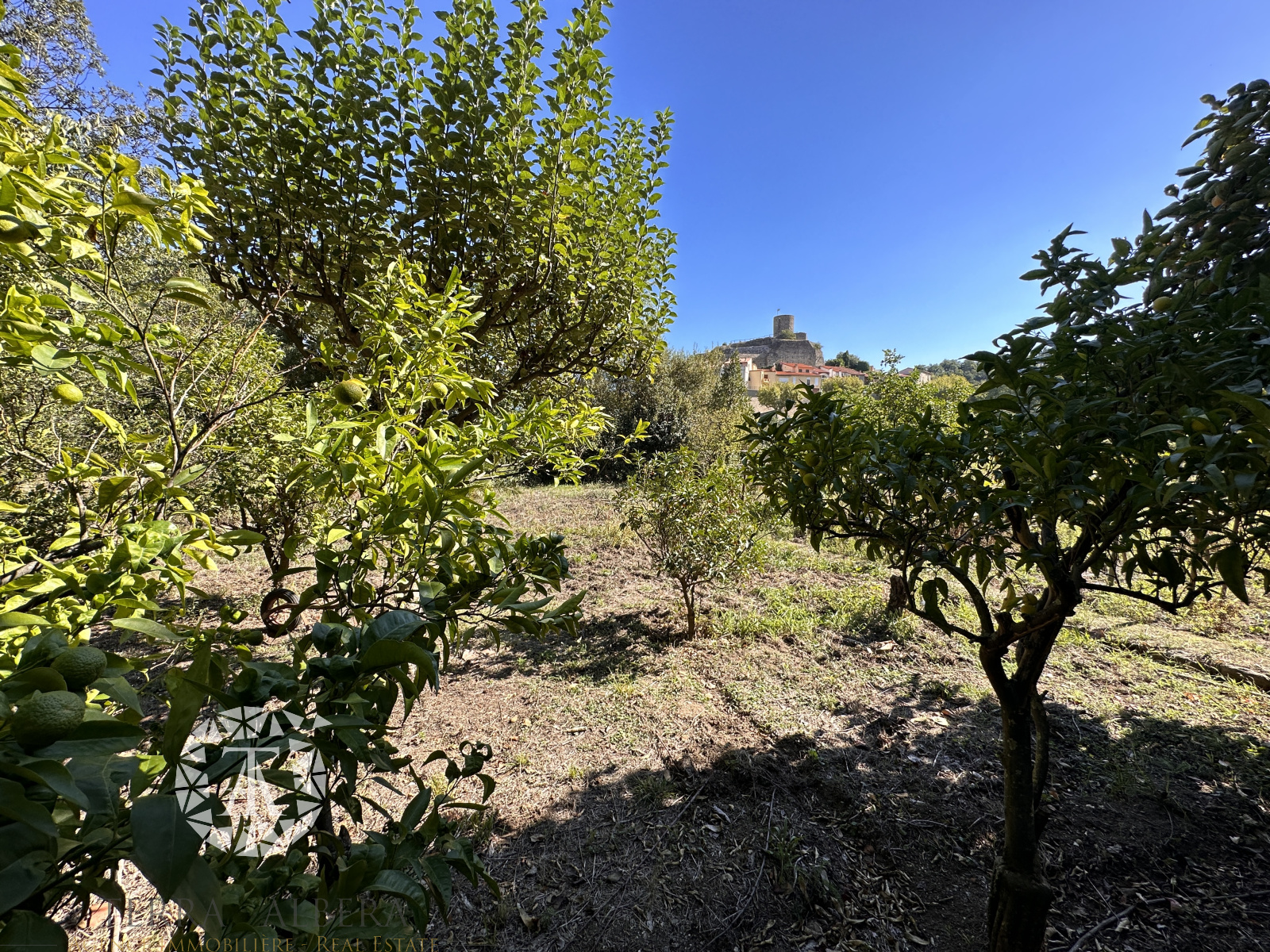 Image_1, Terrain agricole, Laroque-des-Albères, ref :V1868