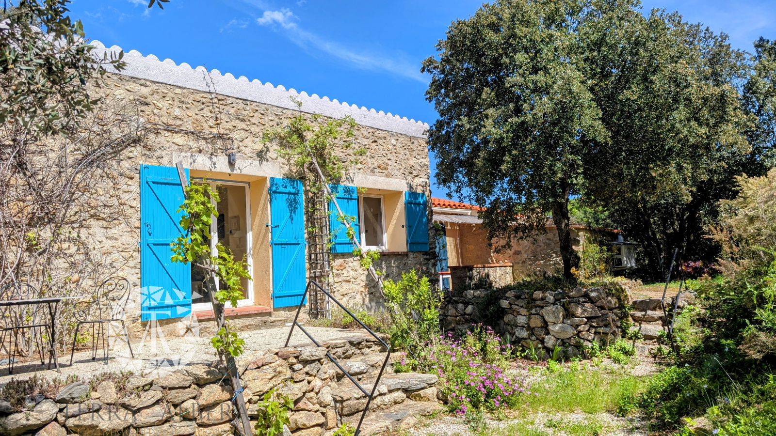 Image_14, Mas, Laroque-des-Albères, ref :V1906