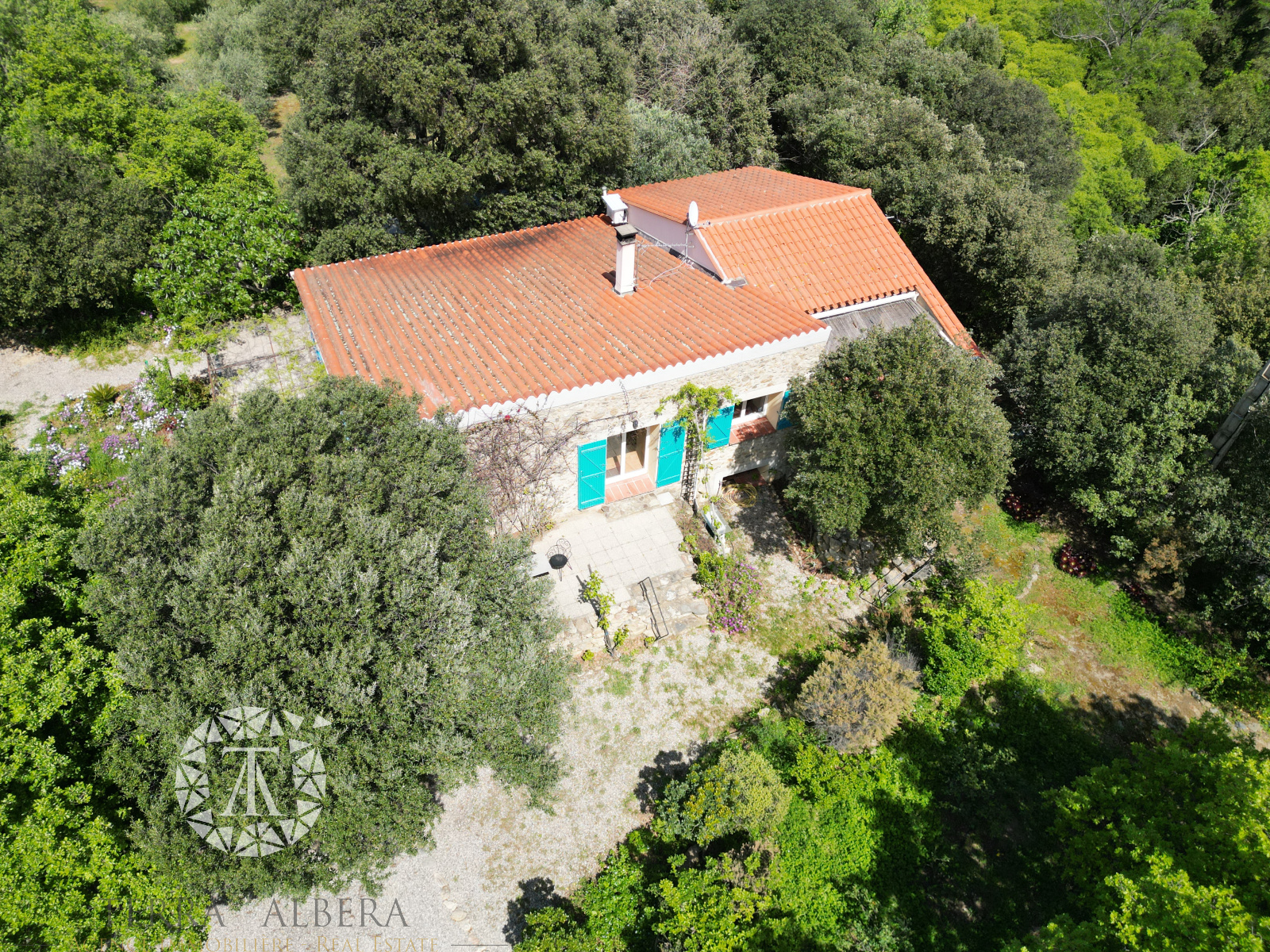 Image_21, Mas, Laroque-des-Albères, ref :V1906