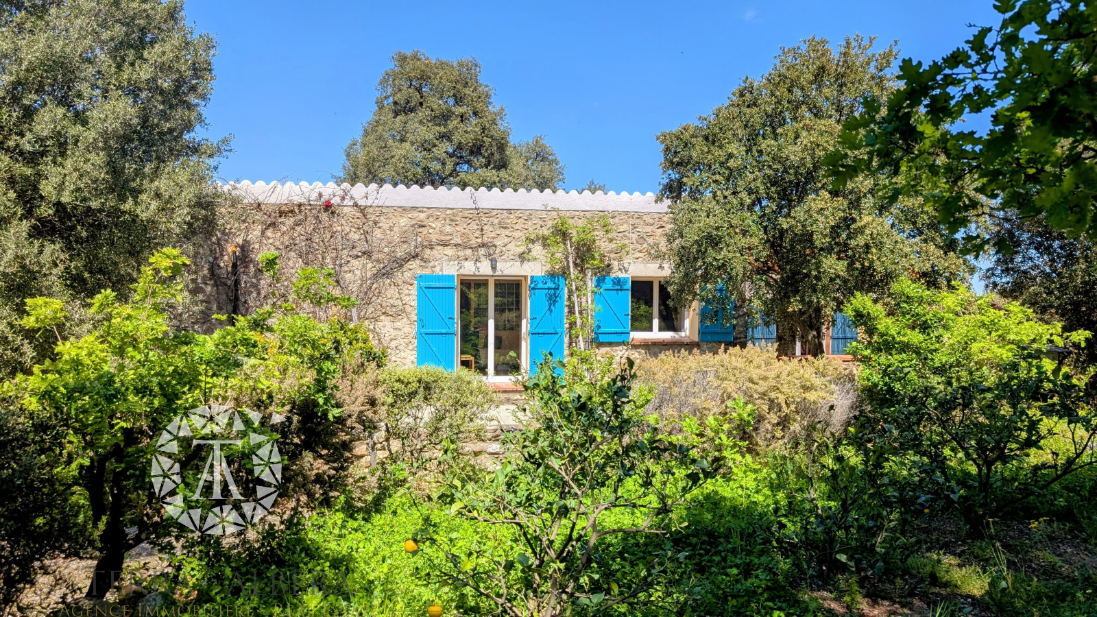 Image_19, Mas, Laroque-des-Albères, ref :V1906