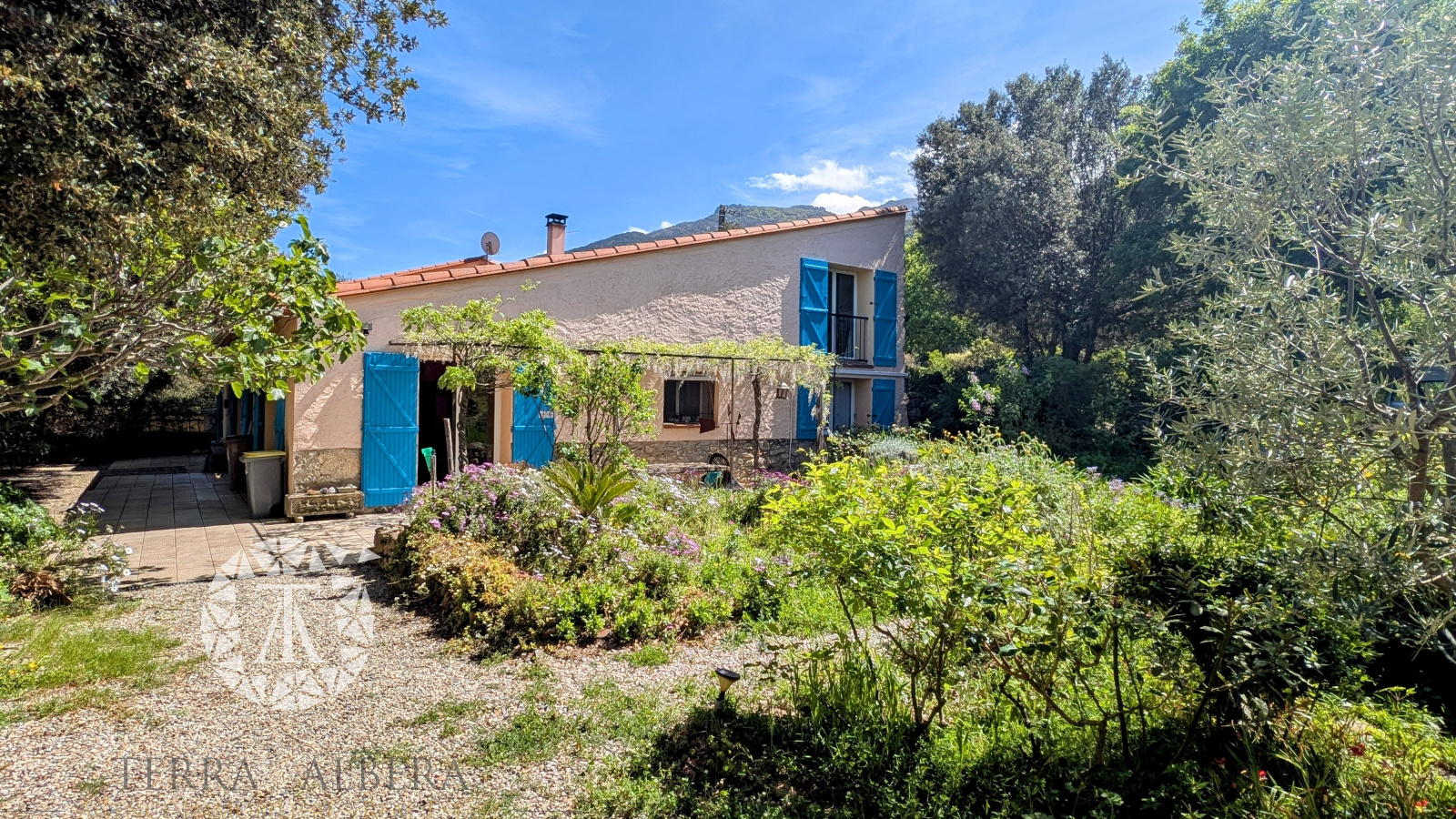 Image_7, Mas, Laroque-des-Albères, ref :V1906