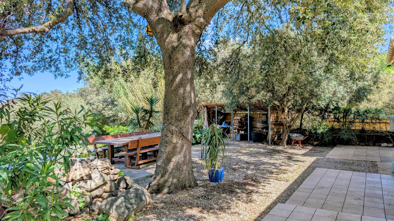 Image_3, Mas, Laroque-des-Albères, ref :V1906