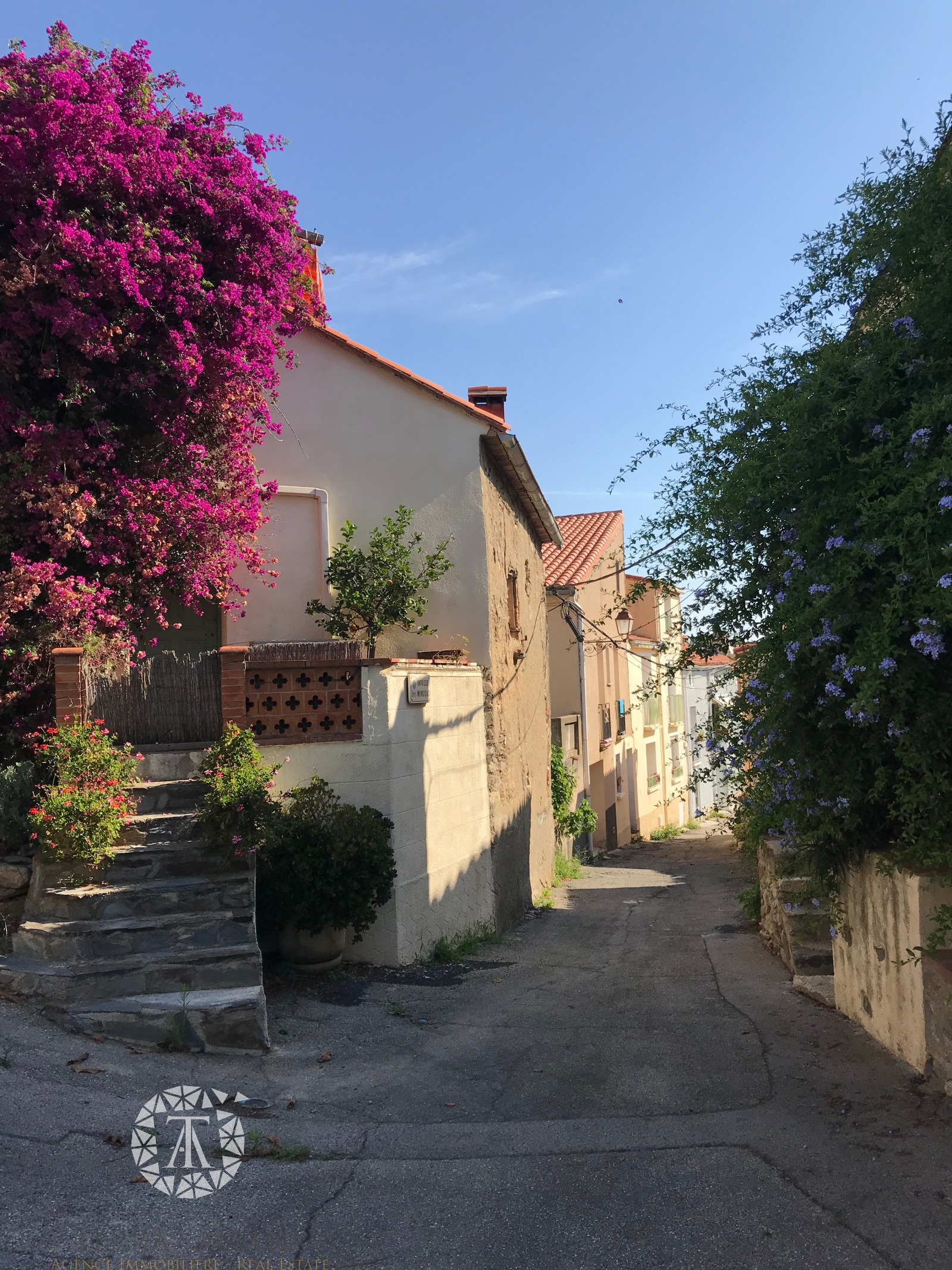 Image_1, Maison de village, Montesquieu-des-Albères, ref :L550