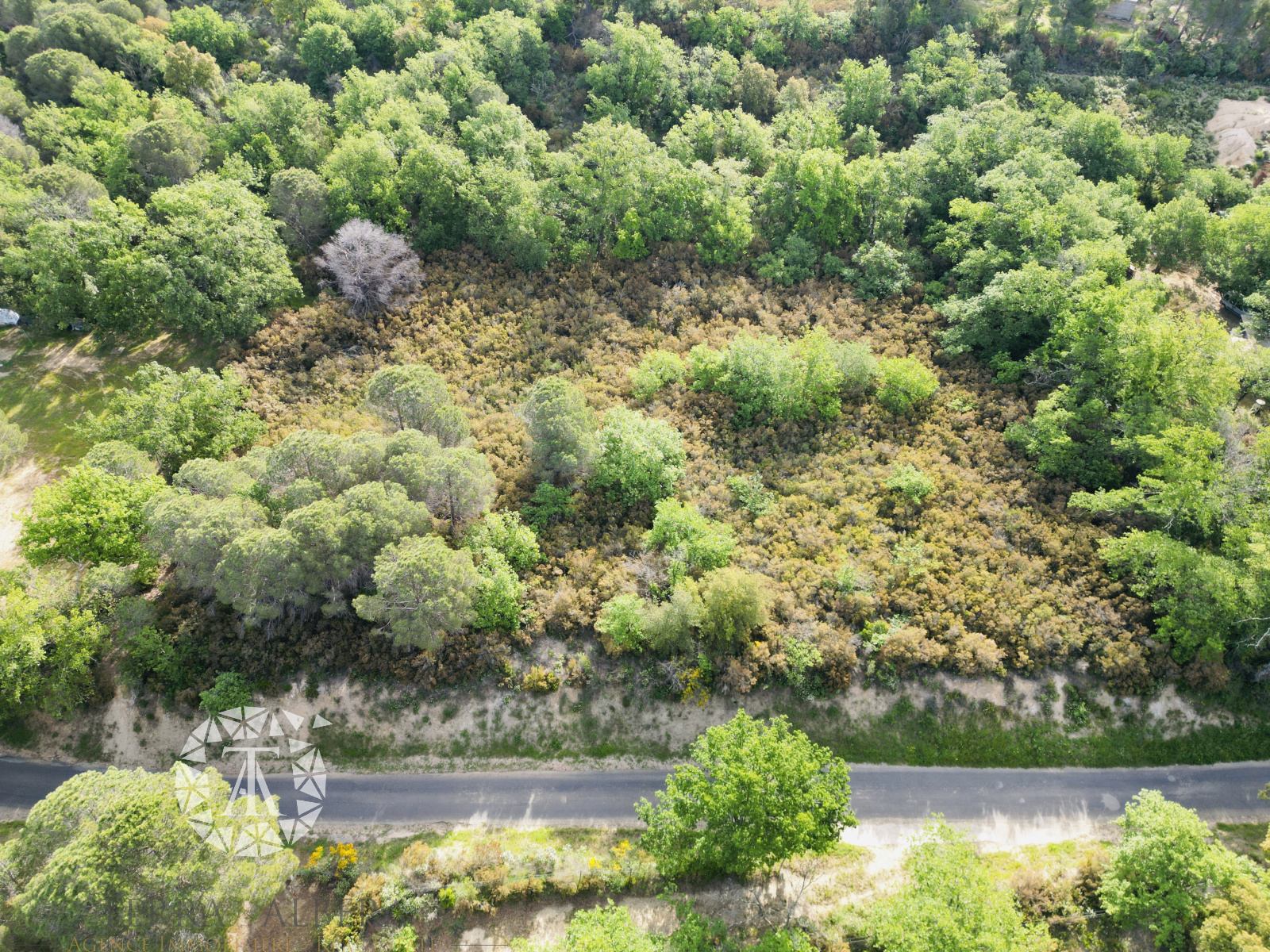 Image_6, Terrain agricole, Argelès-sur-Mer, ref :V1724