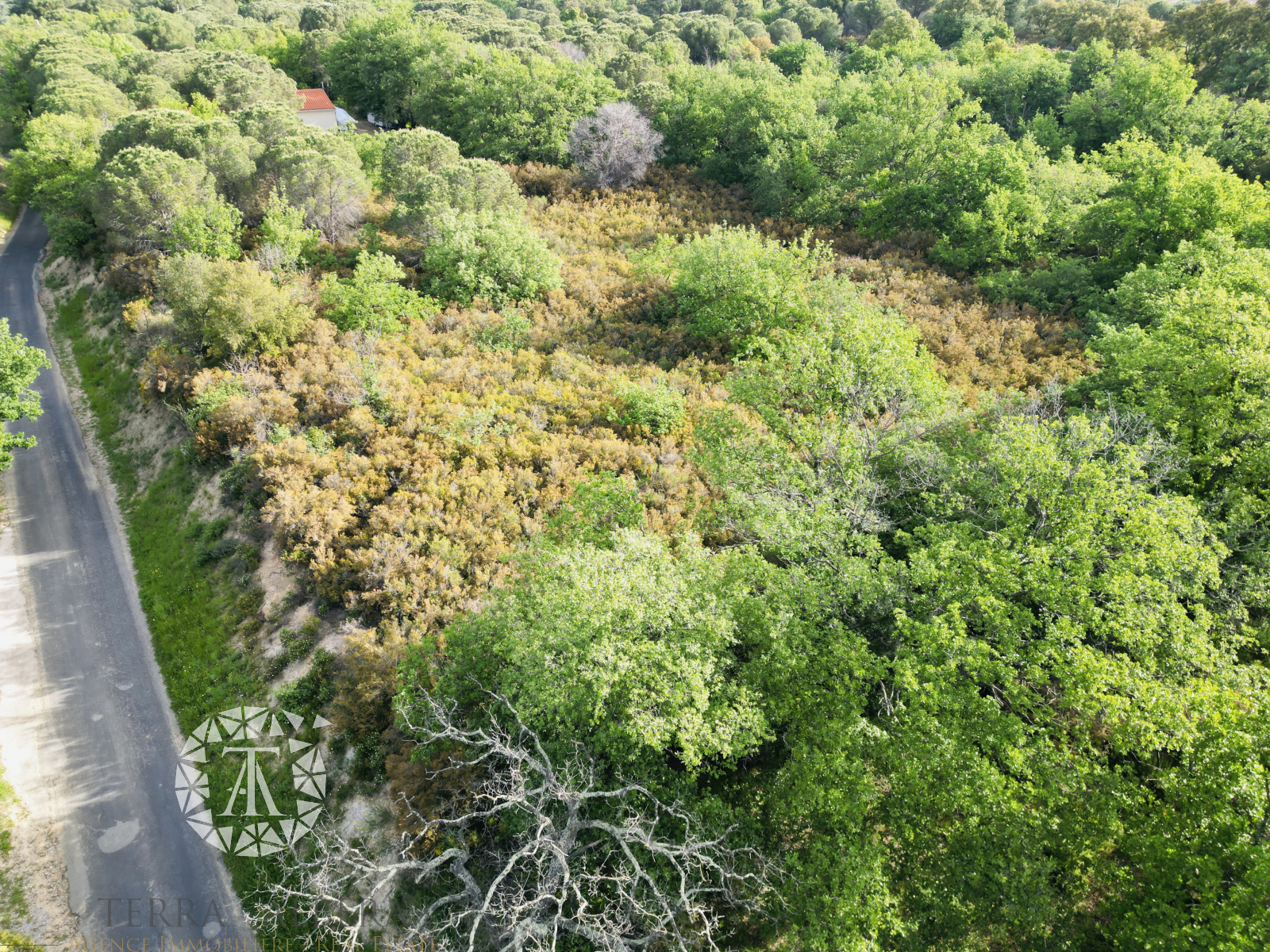 Image_8, Terrain agricole, Argelès-sur-Mer, ref :V1724