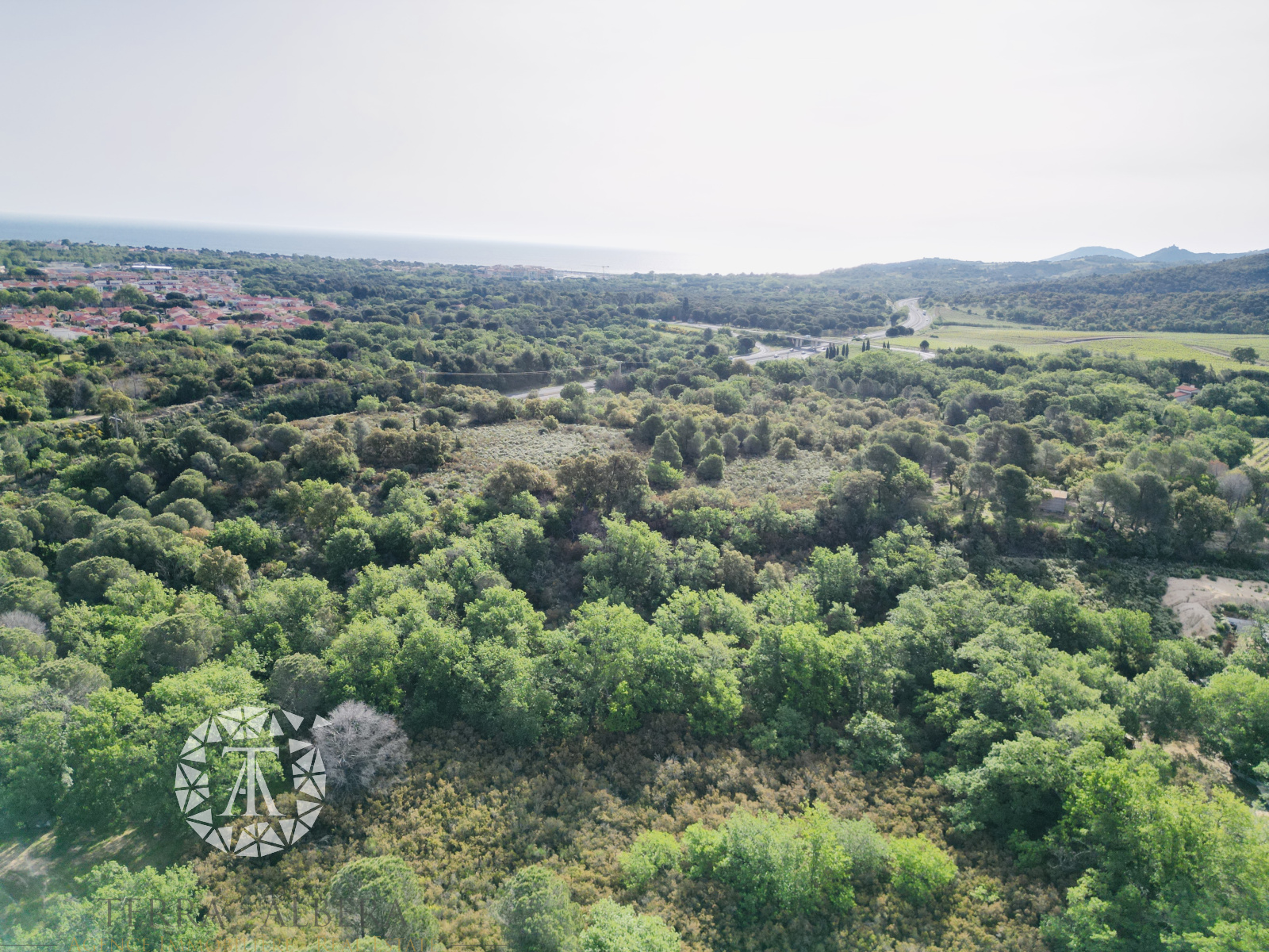 Image_5, Terrain agricole, Argelès-sur-Mer, ref :V1724