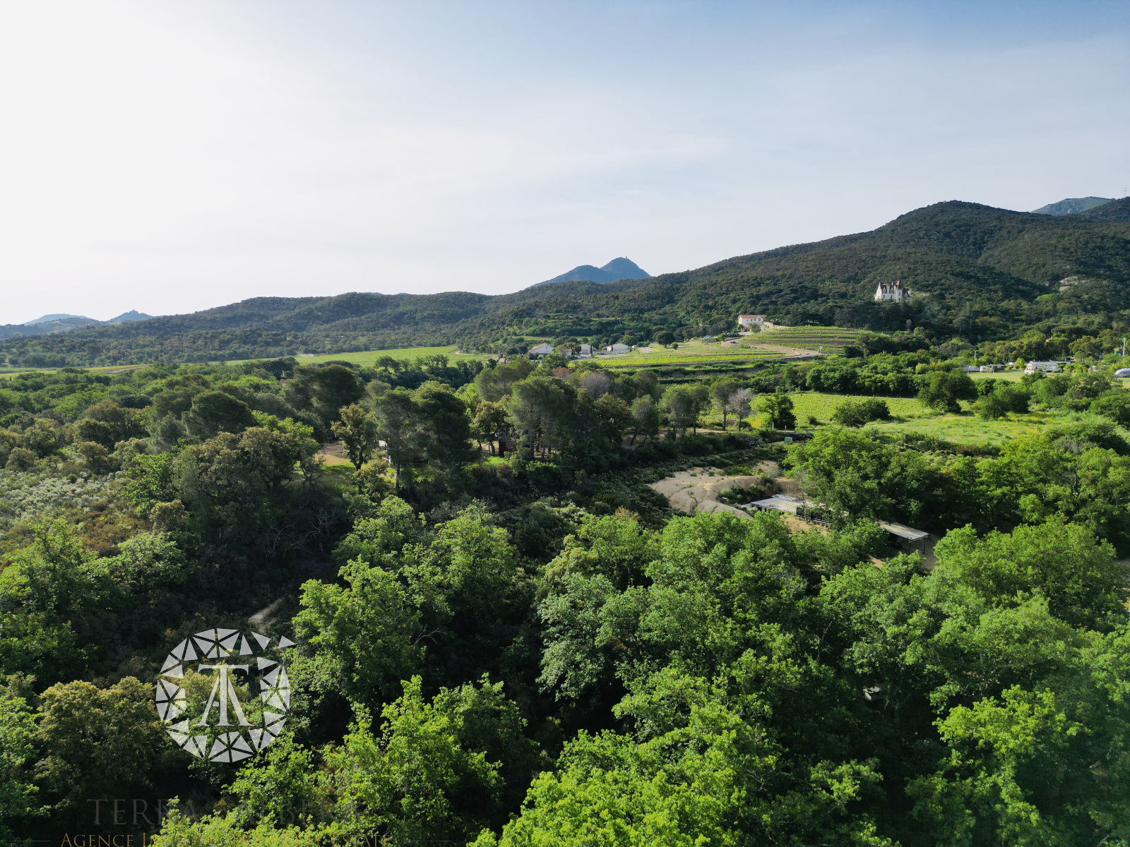 Image_3, Terrain agricole, Argelès-sur-Mer, ref :V1724