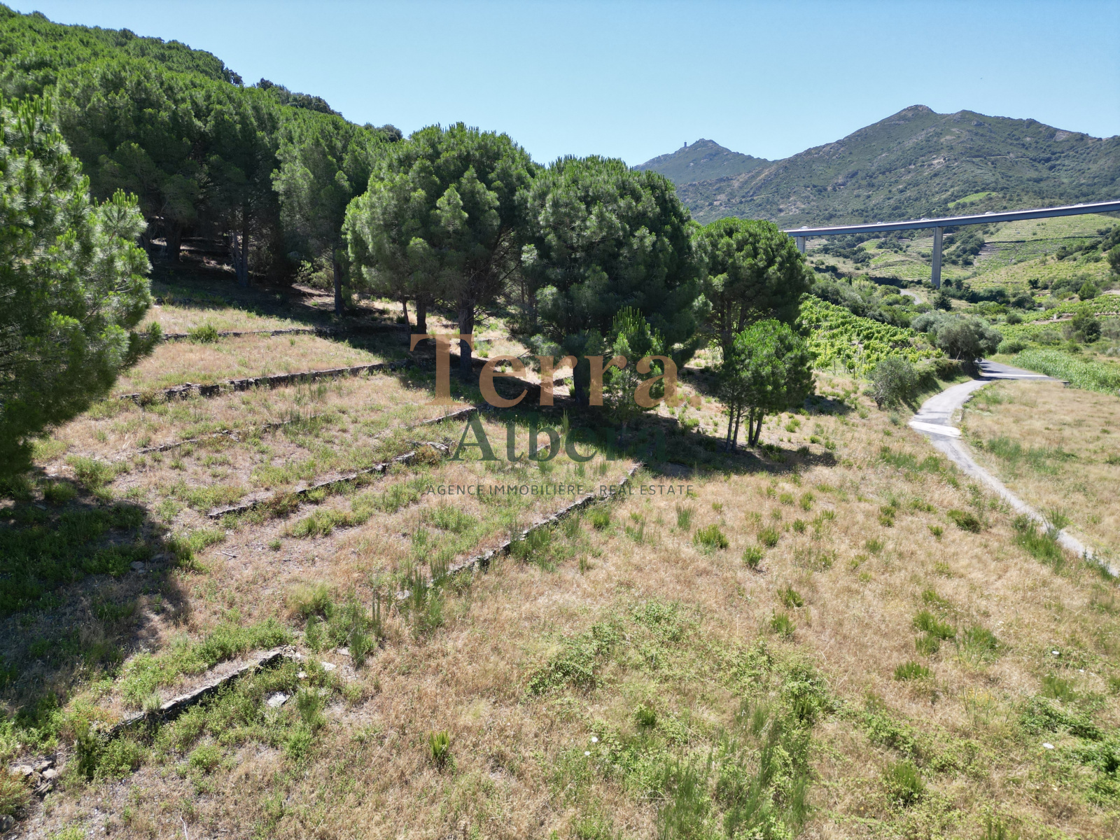 Image_6, Terrain, Collioure, ref :V2142_AR